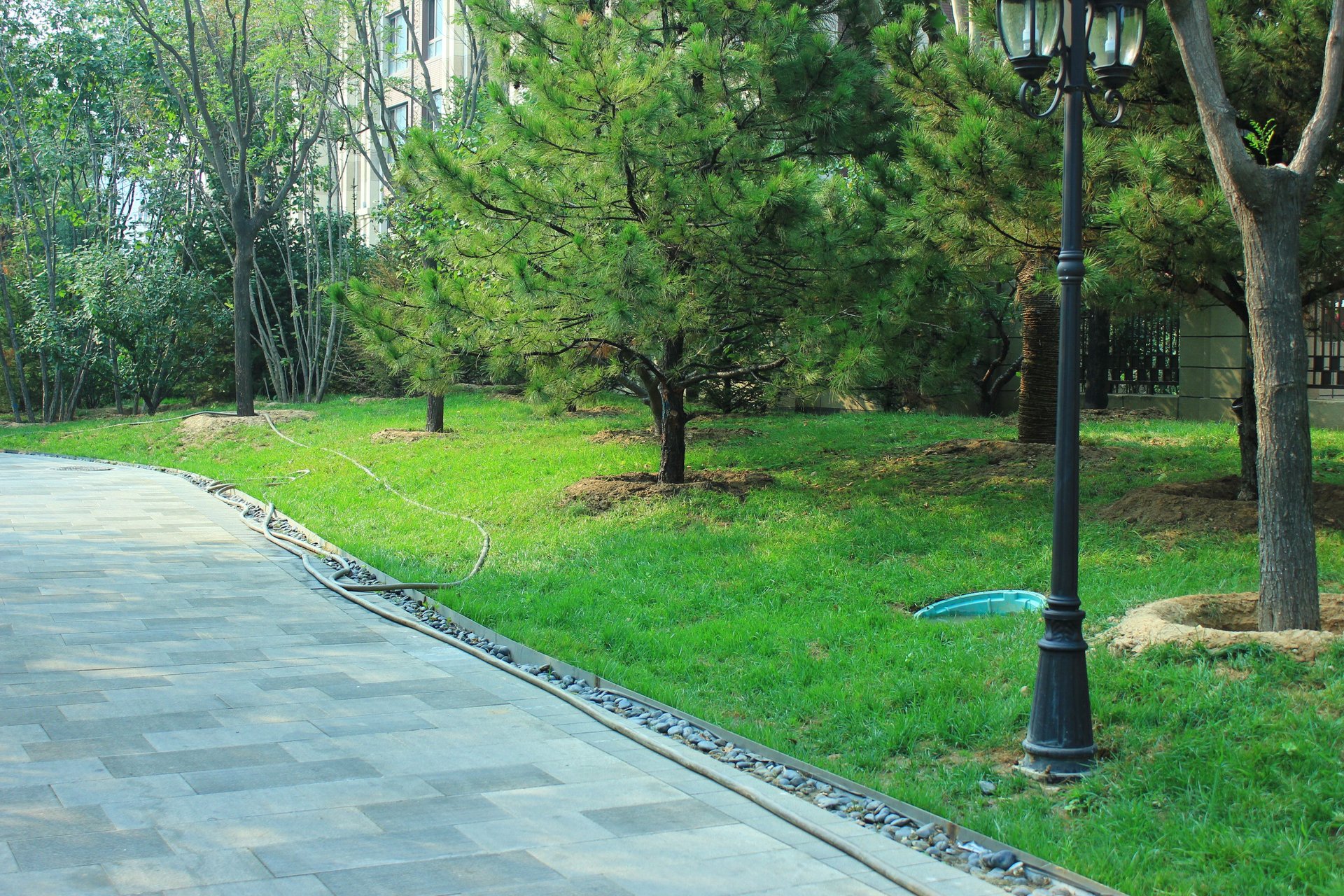 西大望路 environment