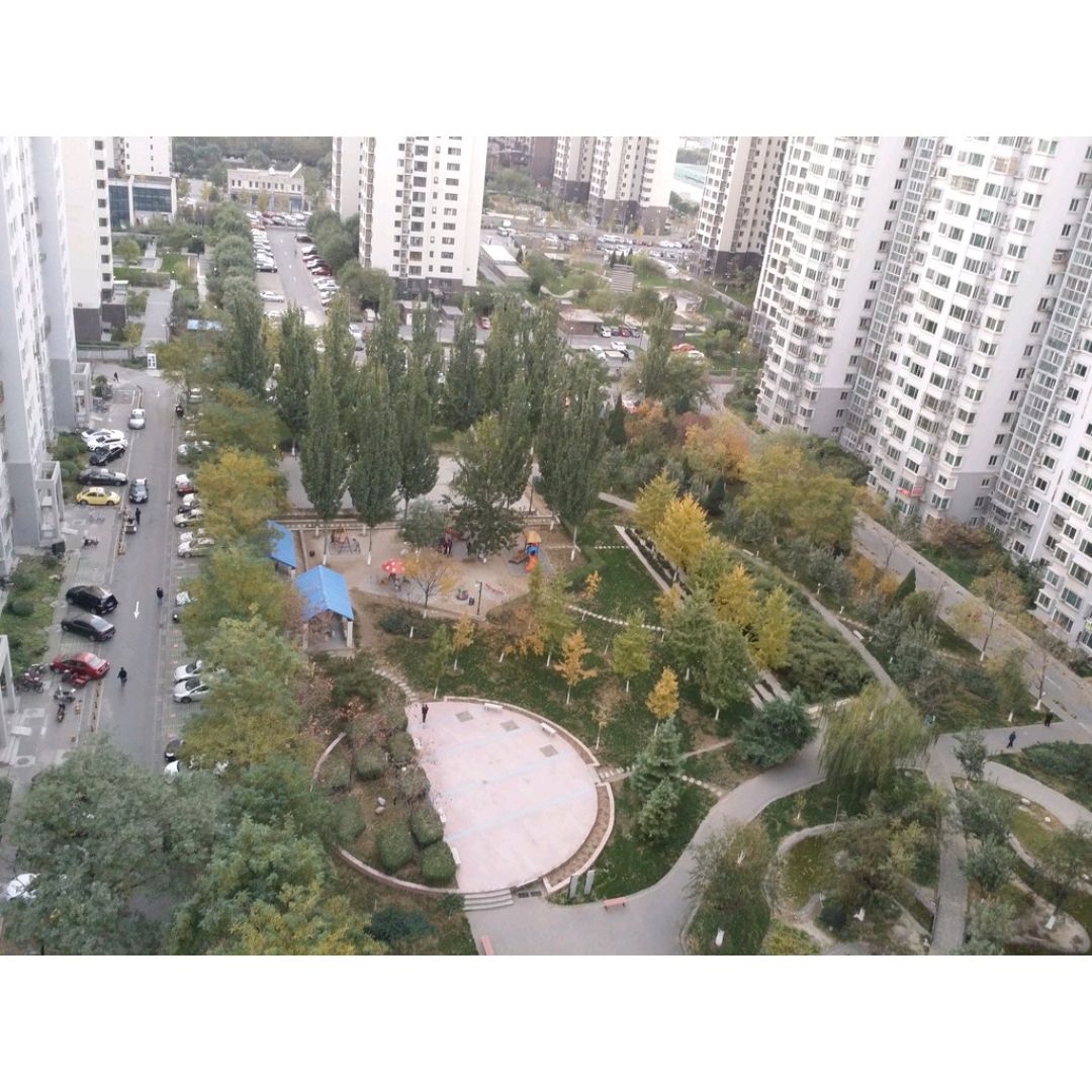 西府景园 environment