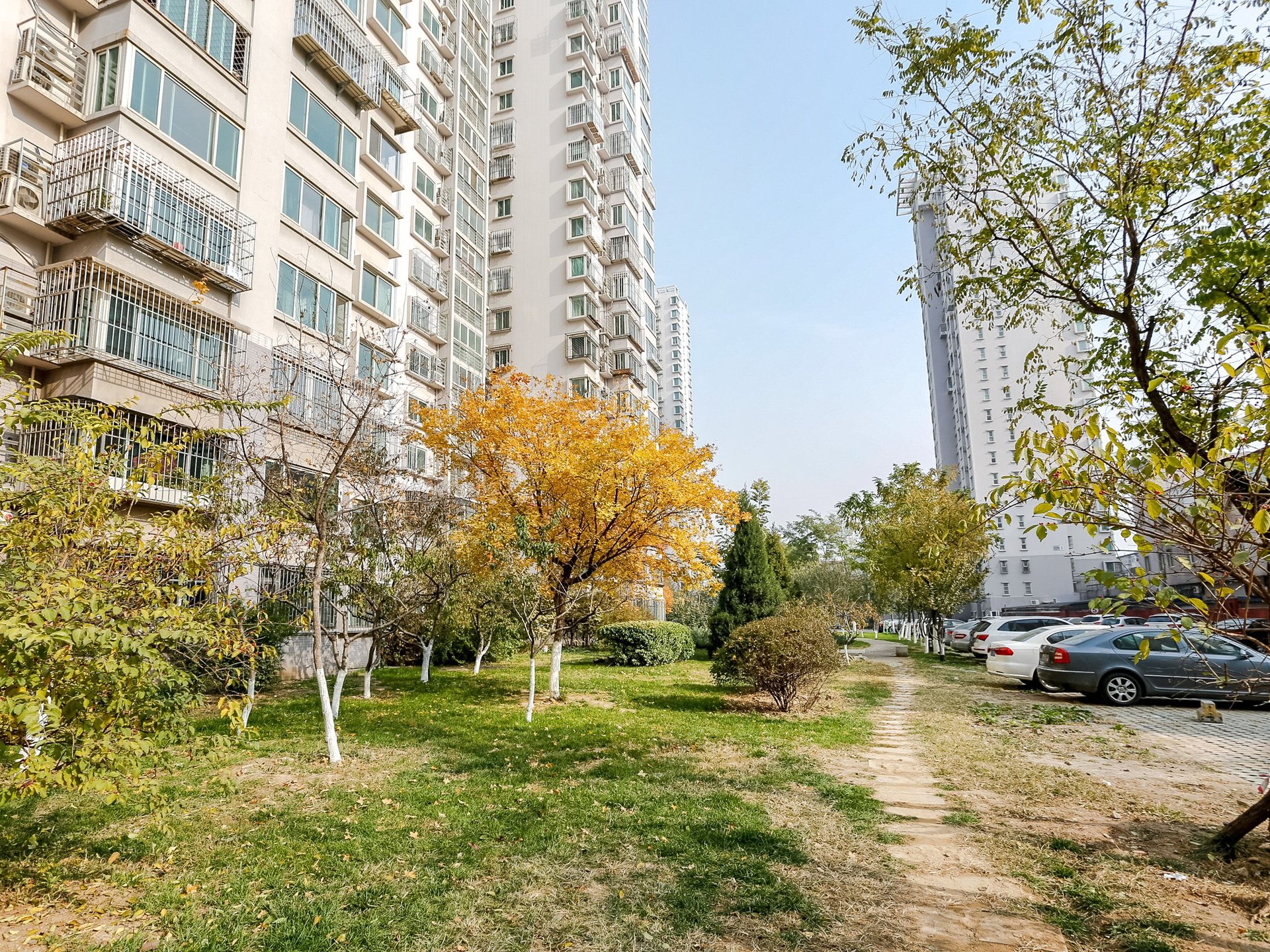 西府景园 environment