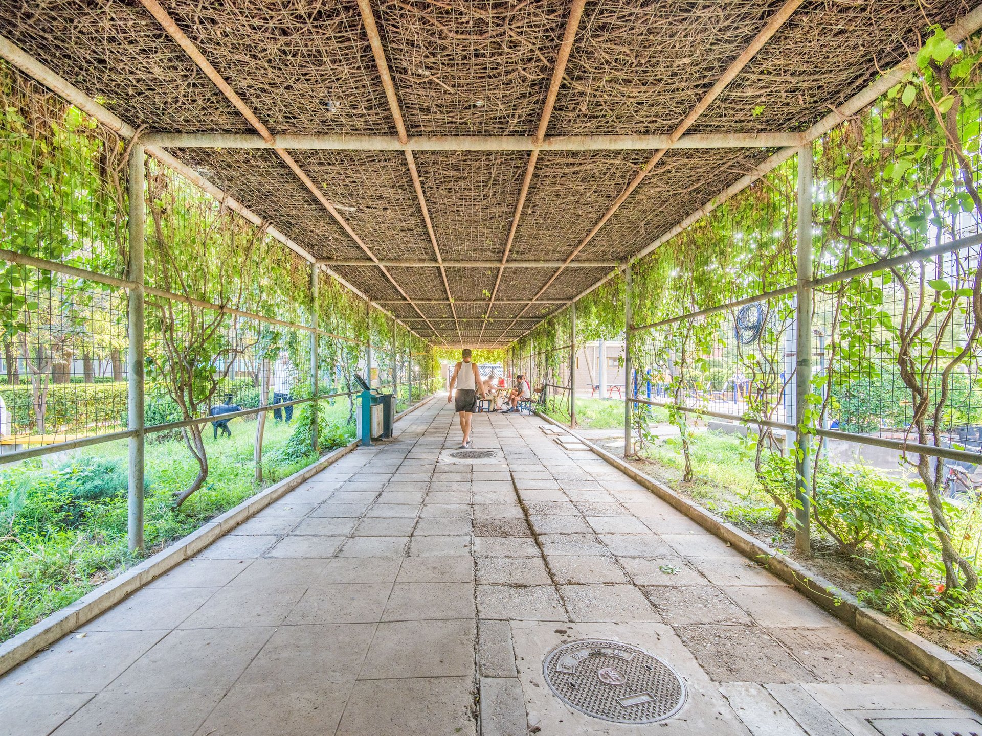 西豪逸景 environment