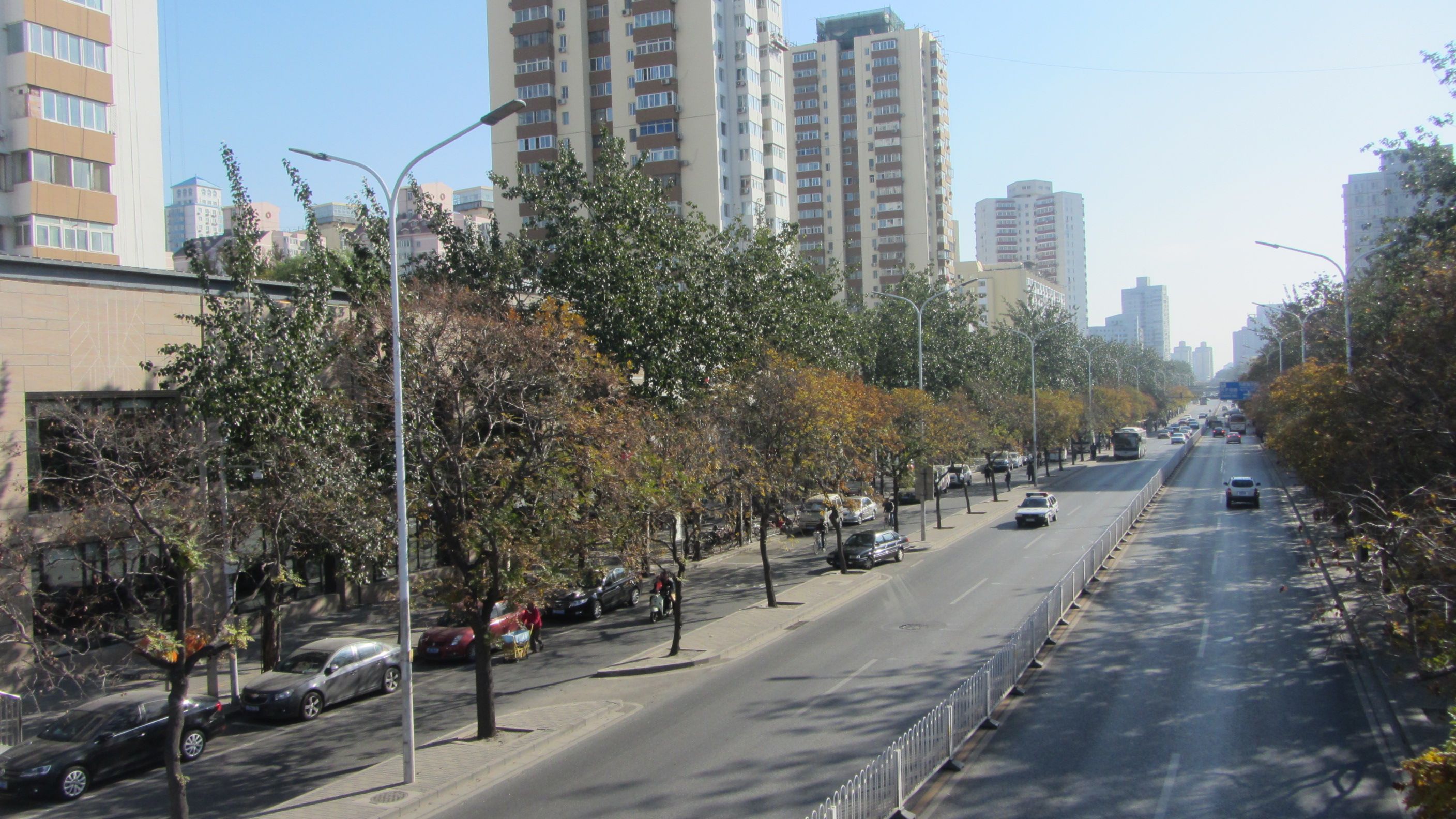 西罗园四区 environment