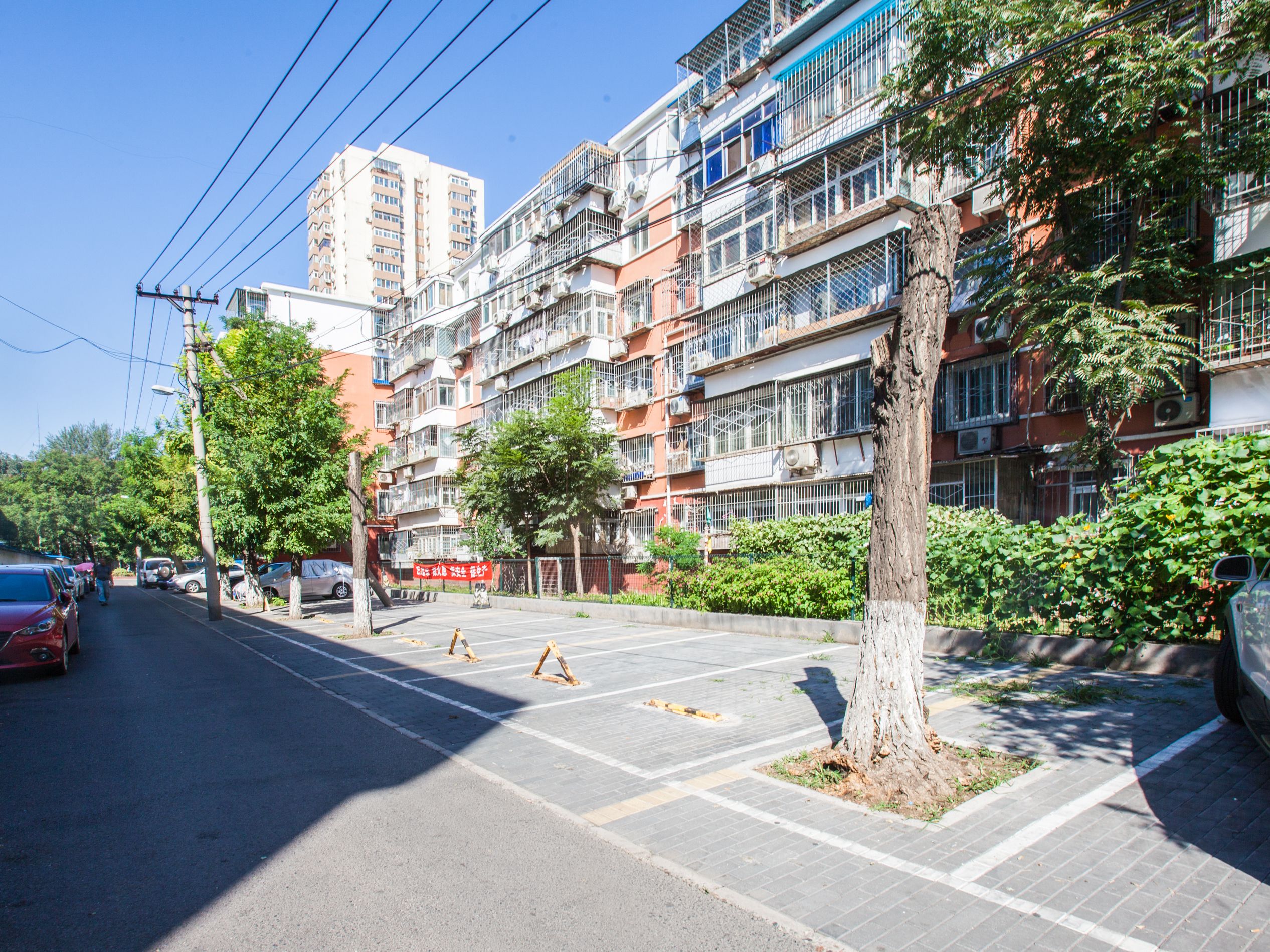 西罗园四区 environment