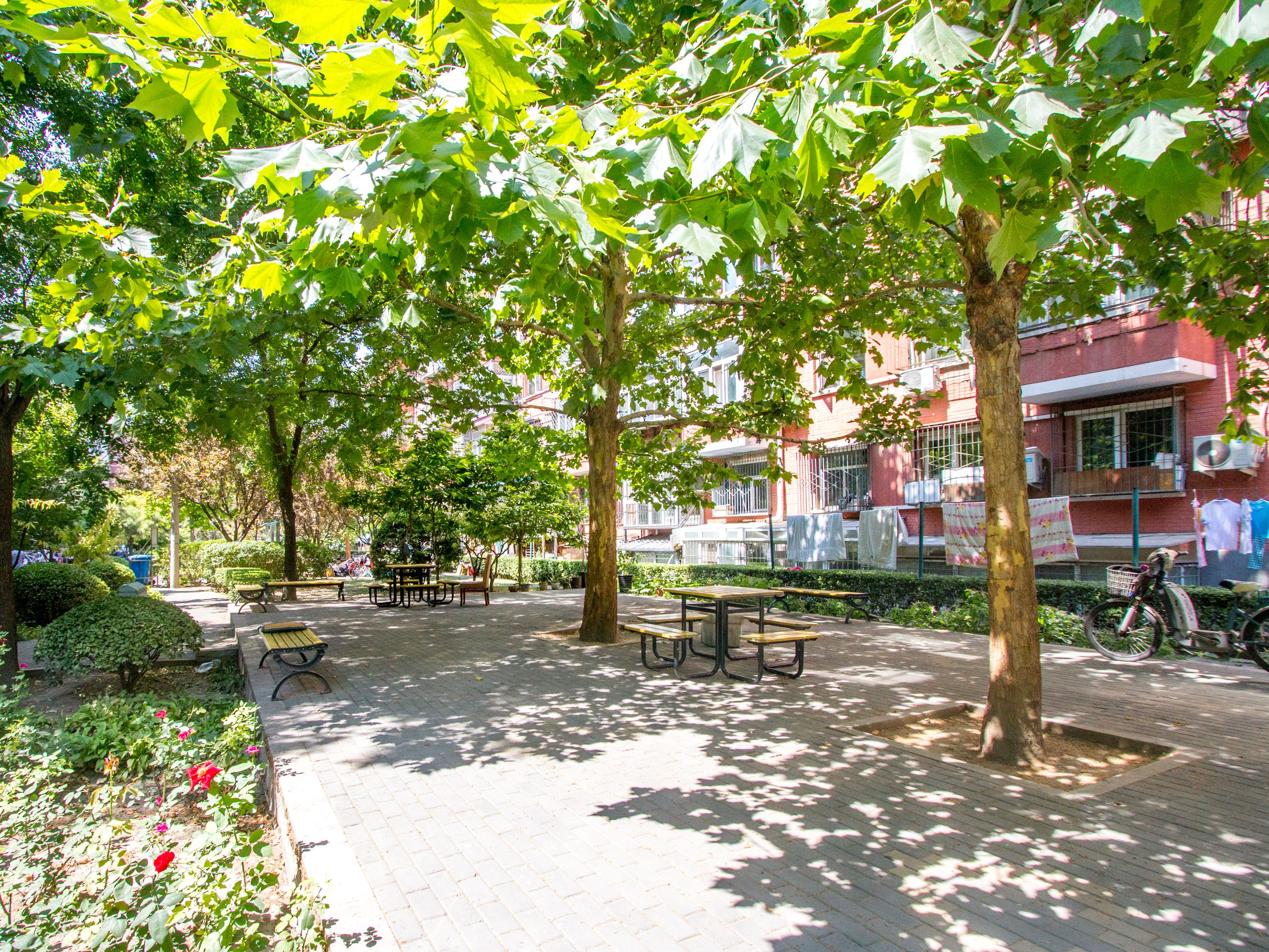 幸福二村 environment