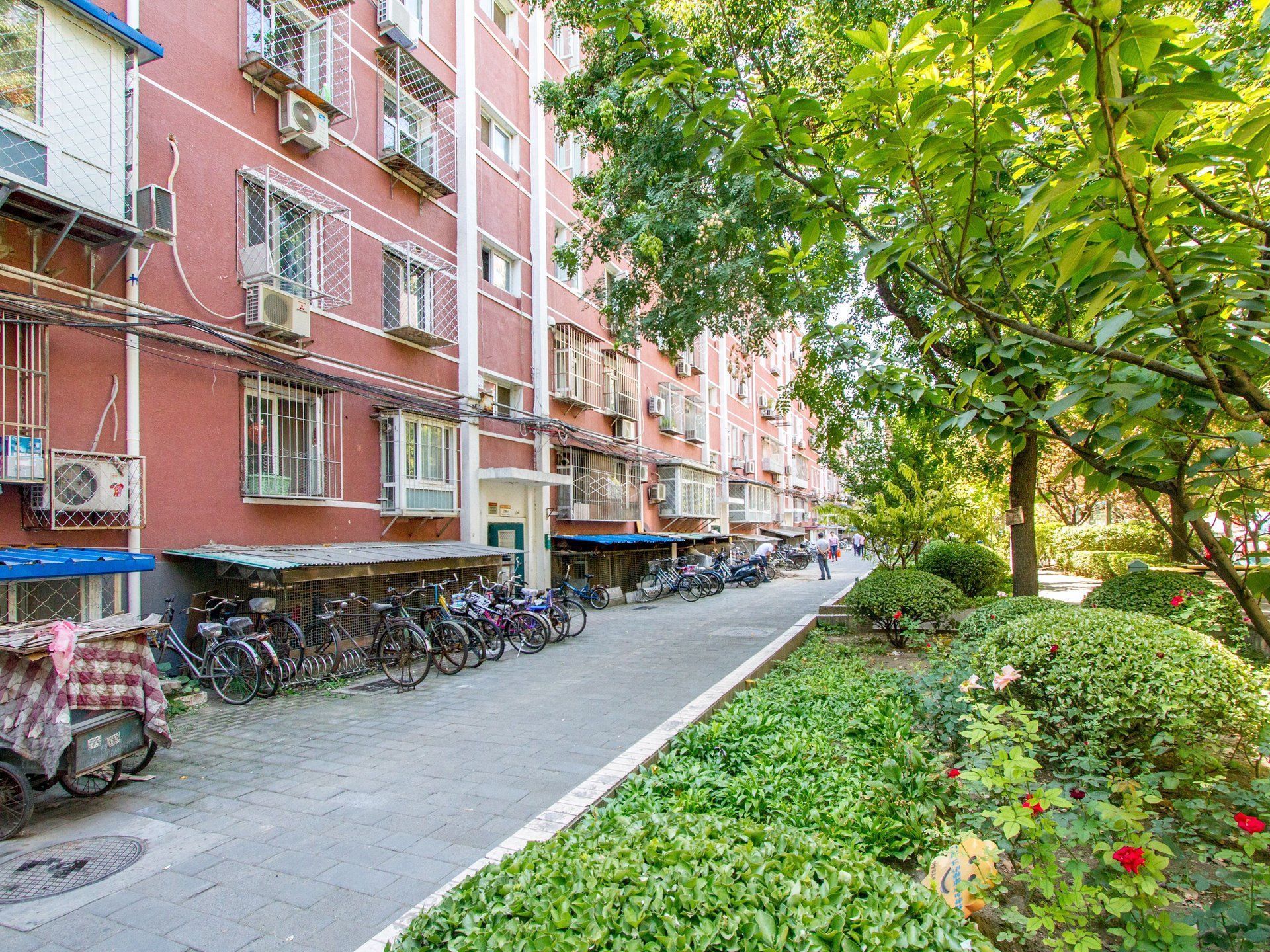 幸福二村 environment