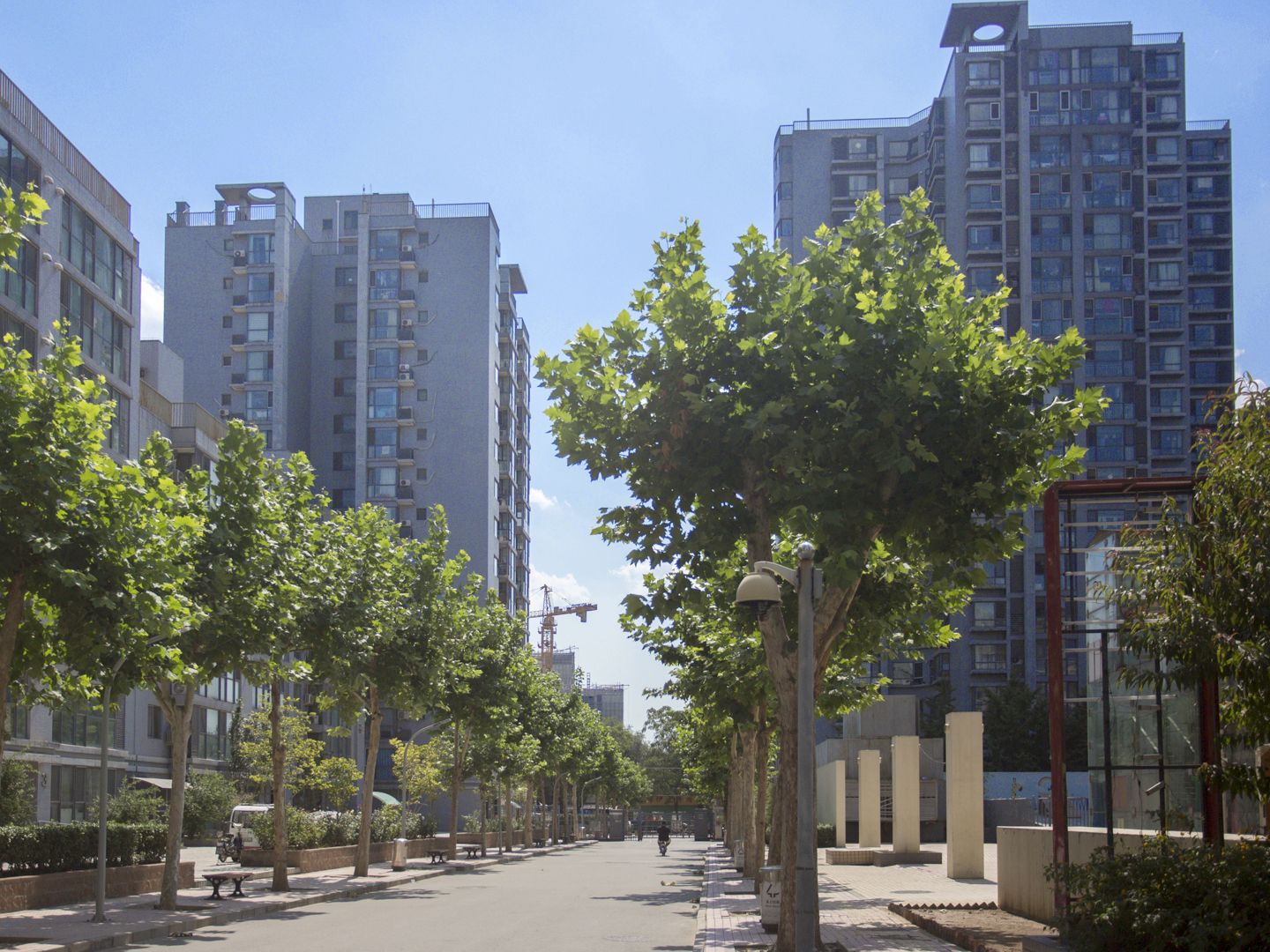 幸福家园三期 environment