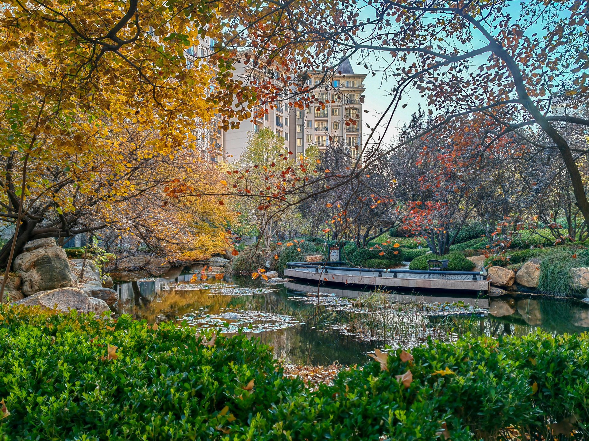 星河湾朗园 environment