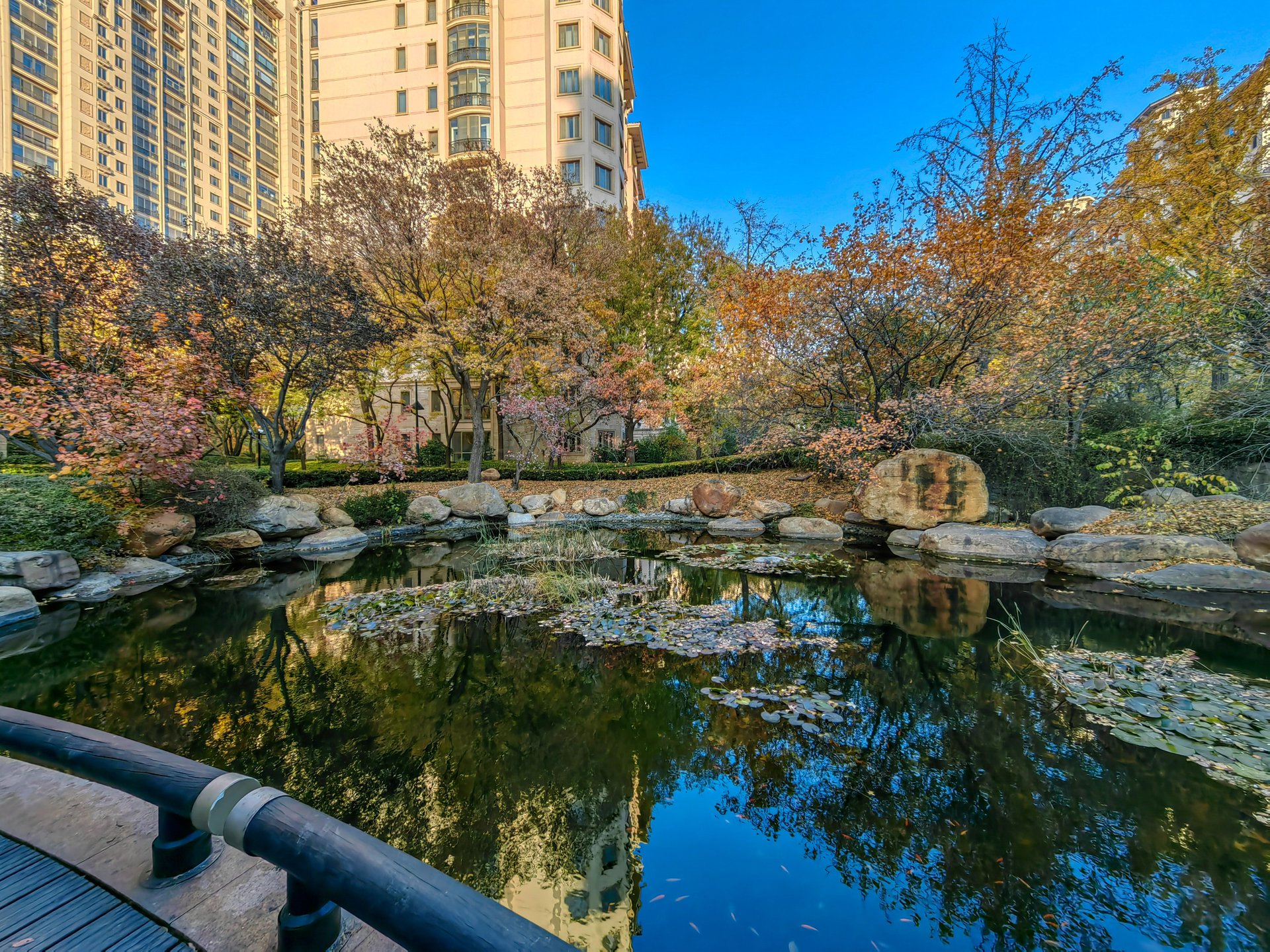 星河湾朗园 environment