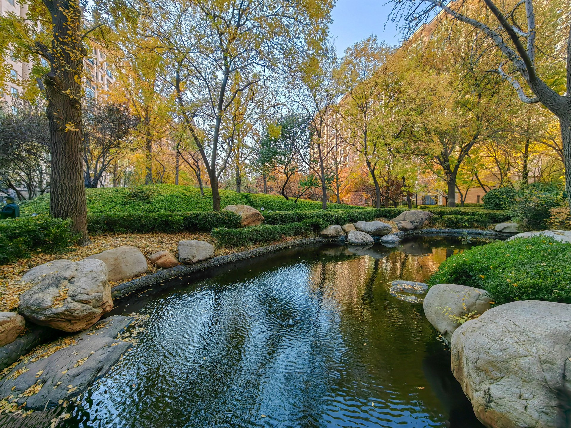 星河湾朗园 environment