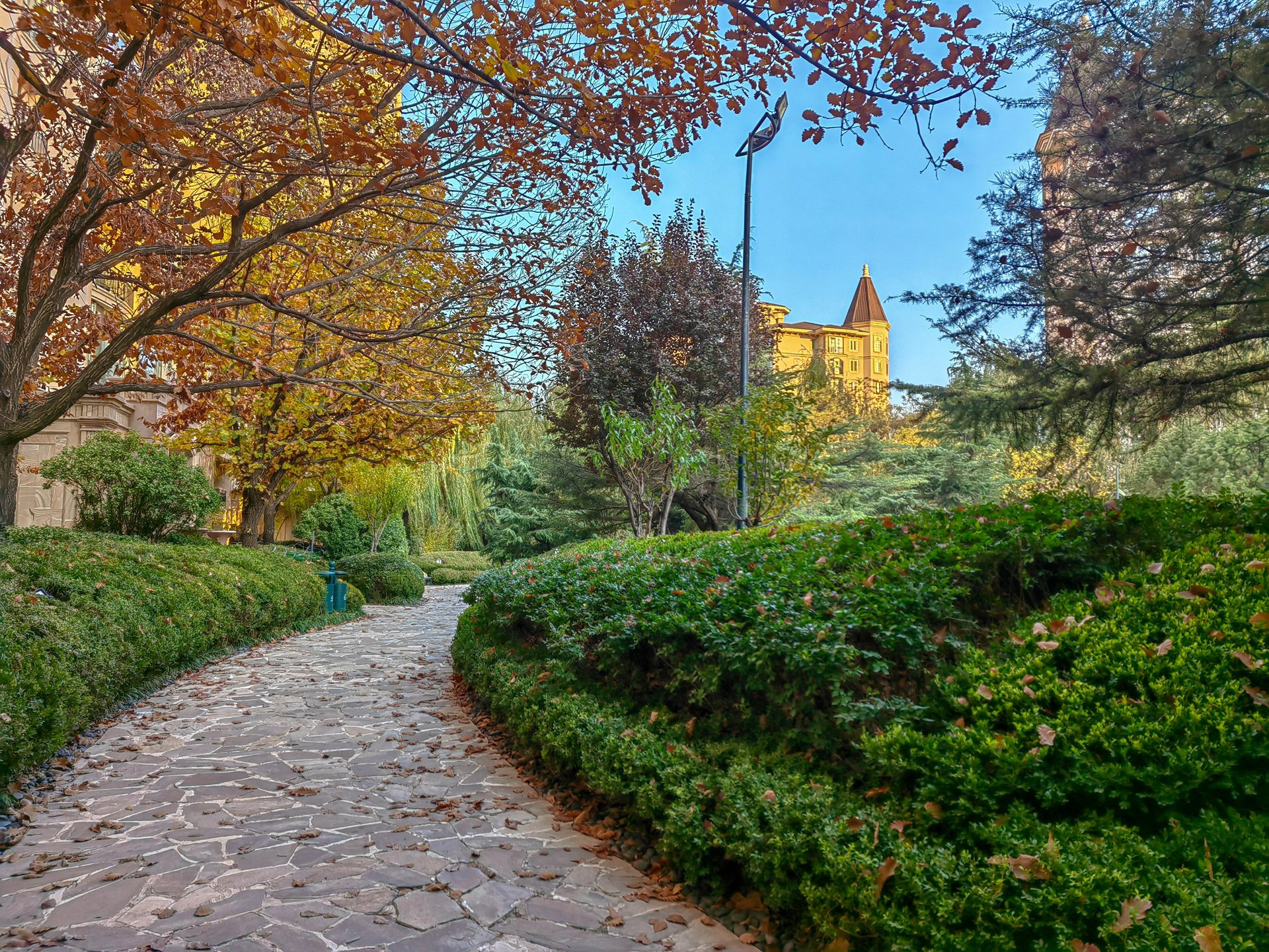 星河湾朗园 environment