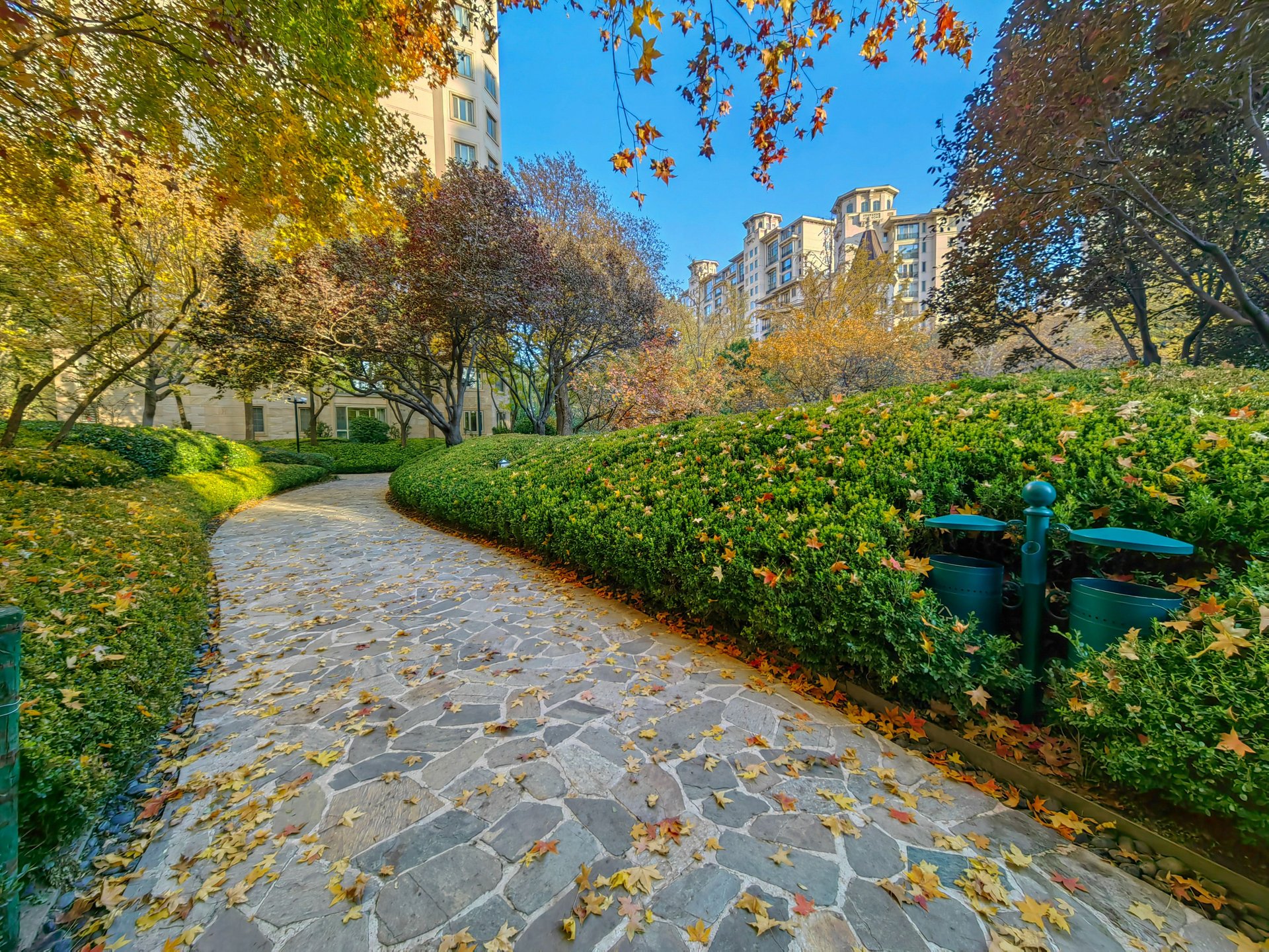 星河湾朗园 environment