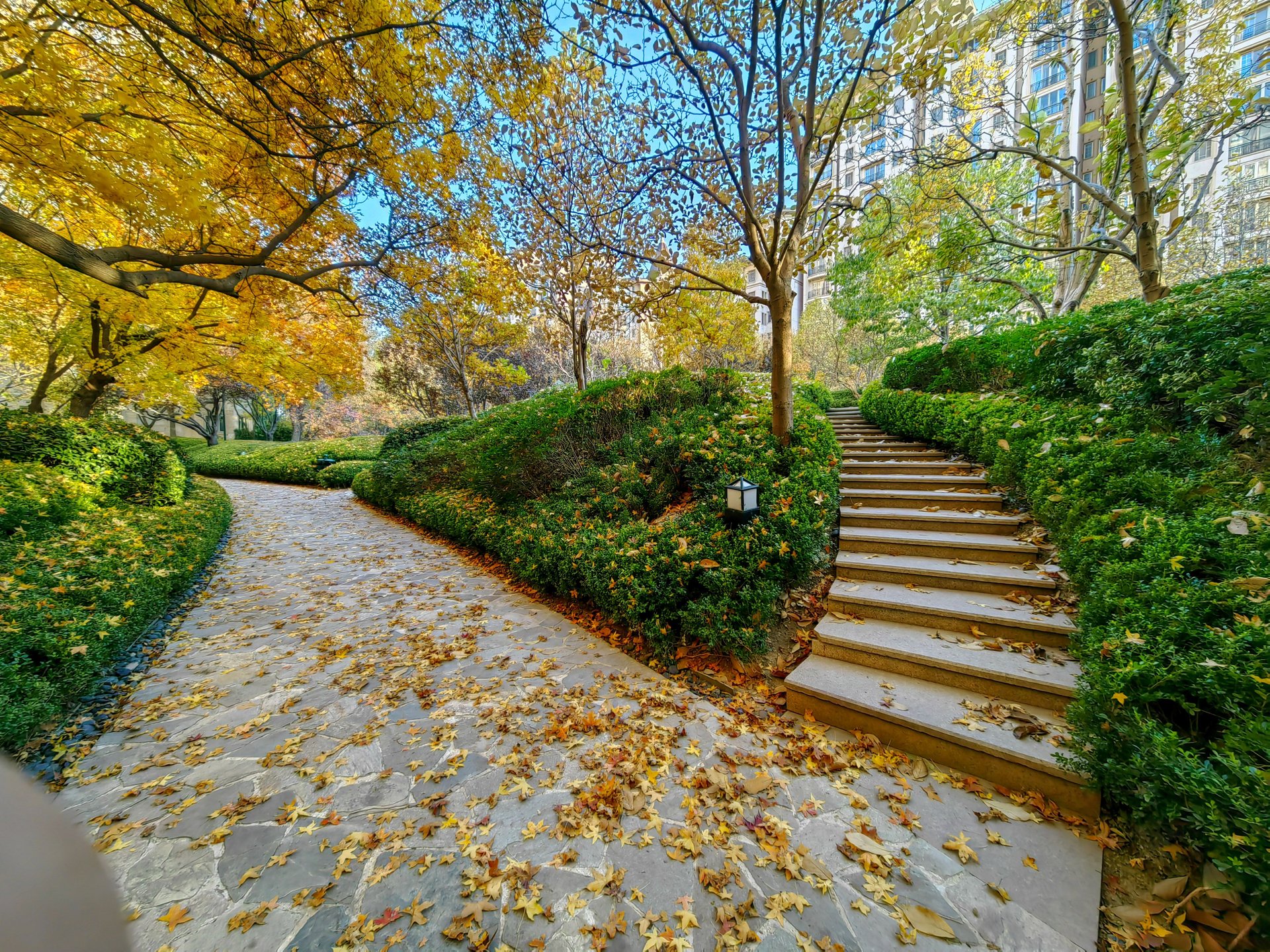 星河湾朗园 environment