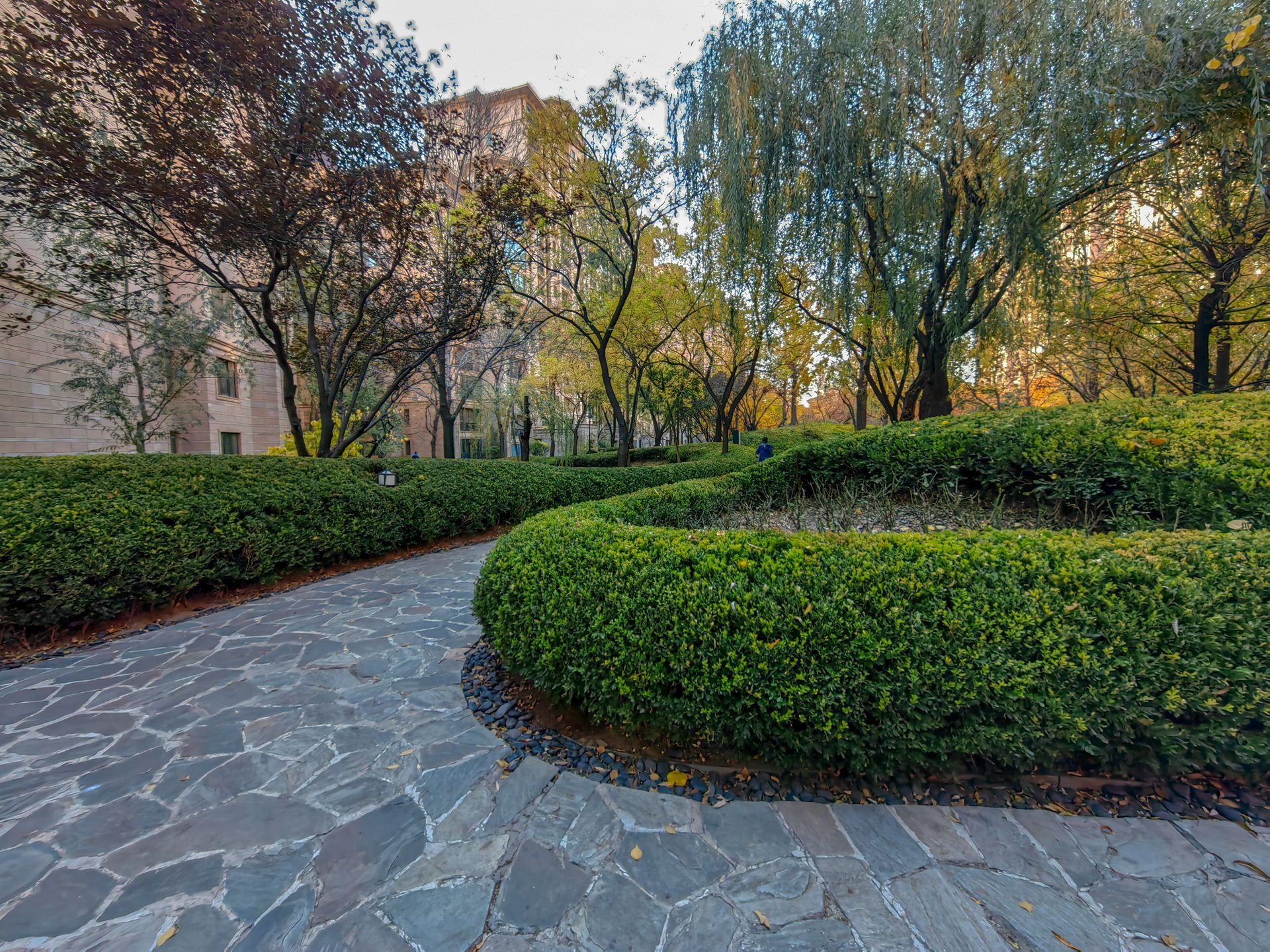 星河湾朗园 environment