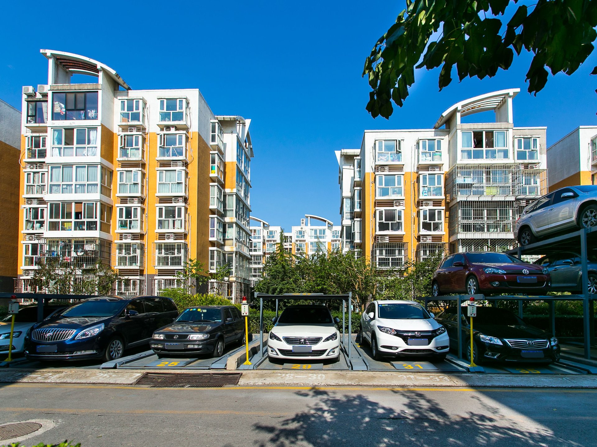 兴琦家园 environment