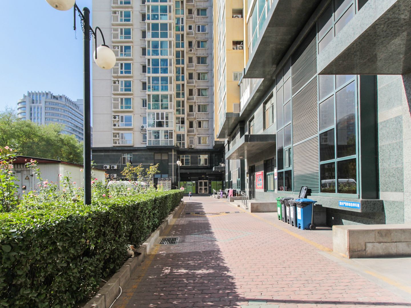 馨莲茗园 environment