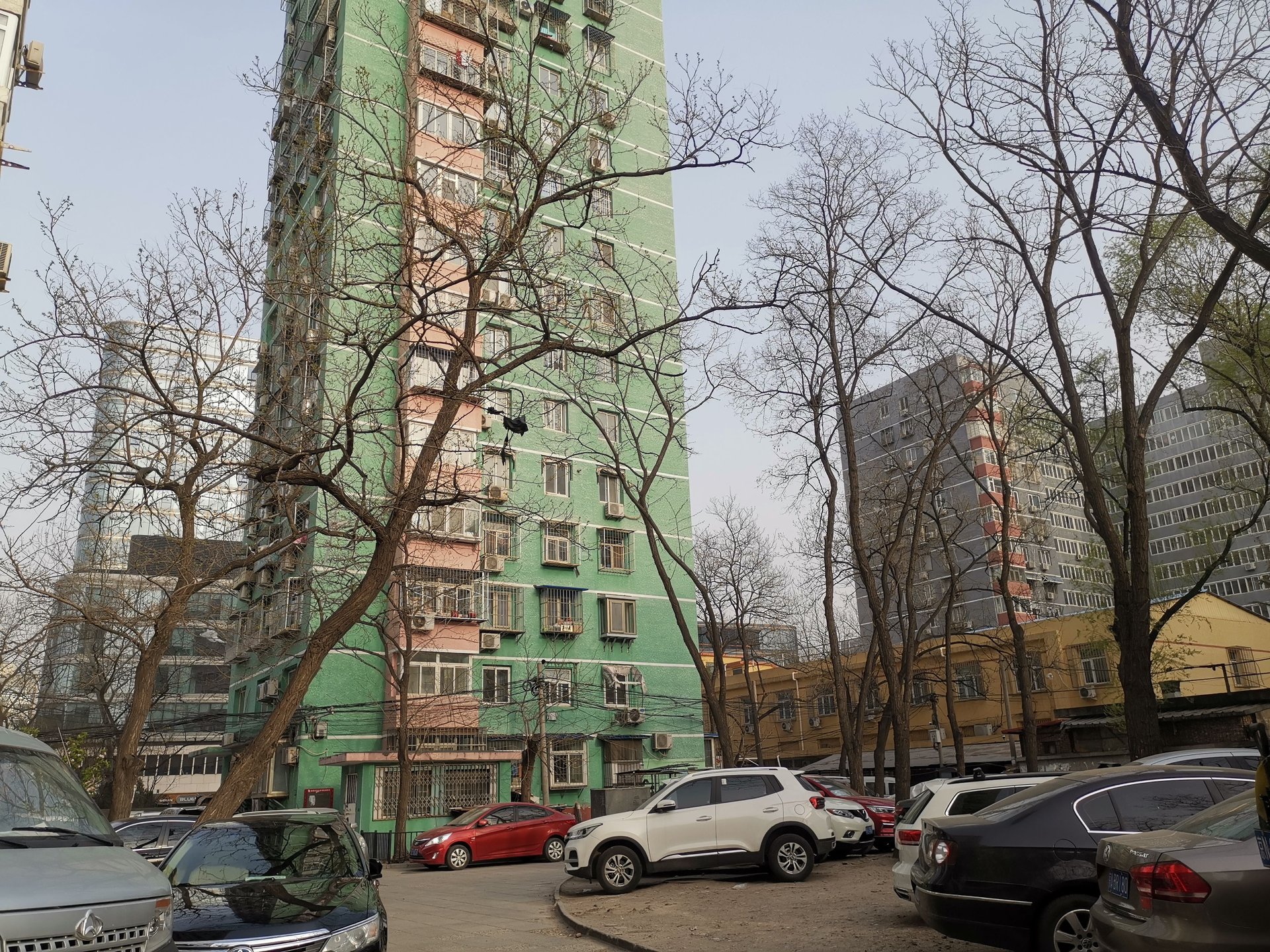 新明胡同 environment