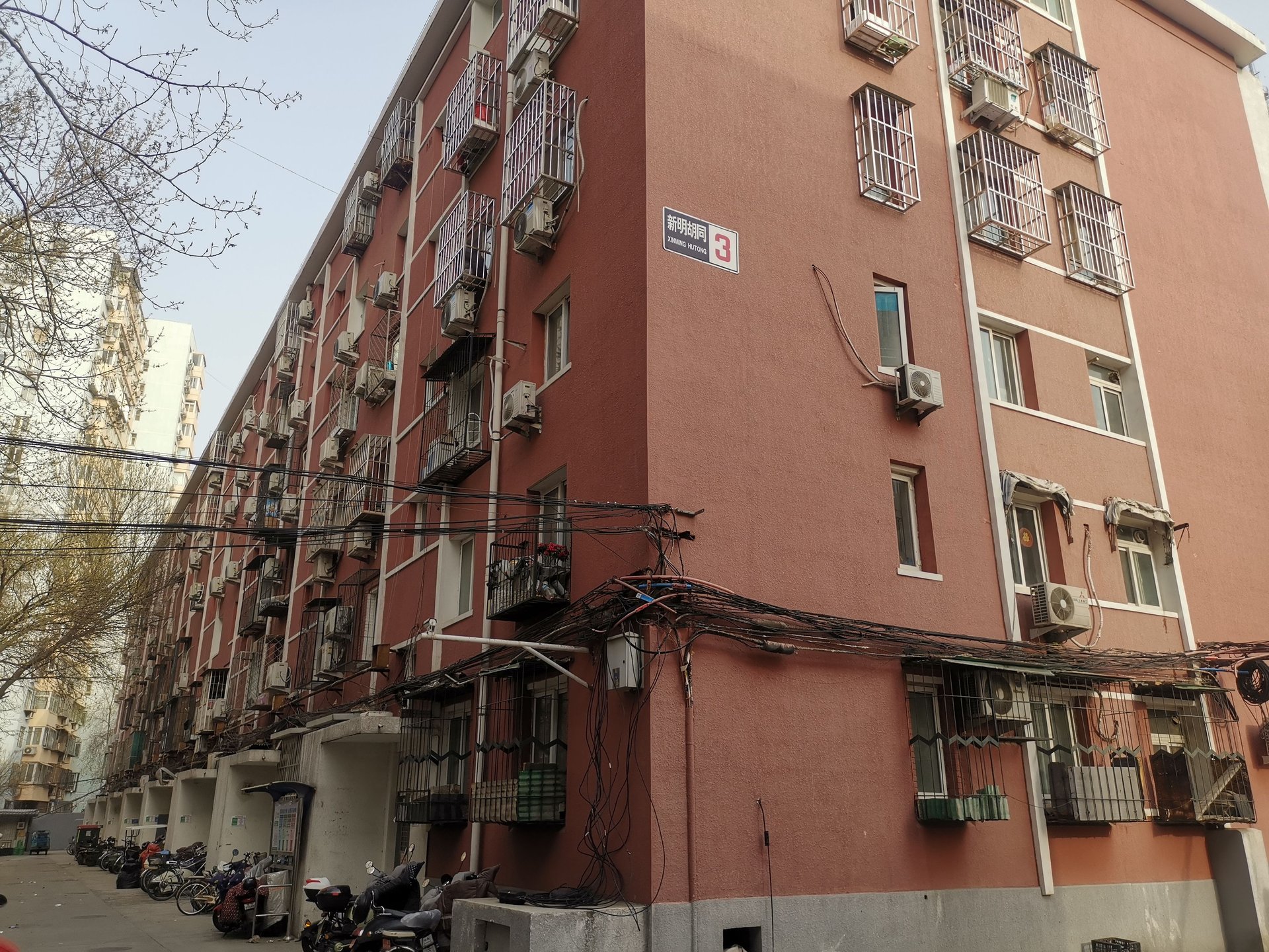 新明胡同 environment