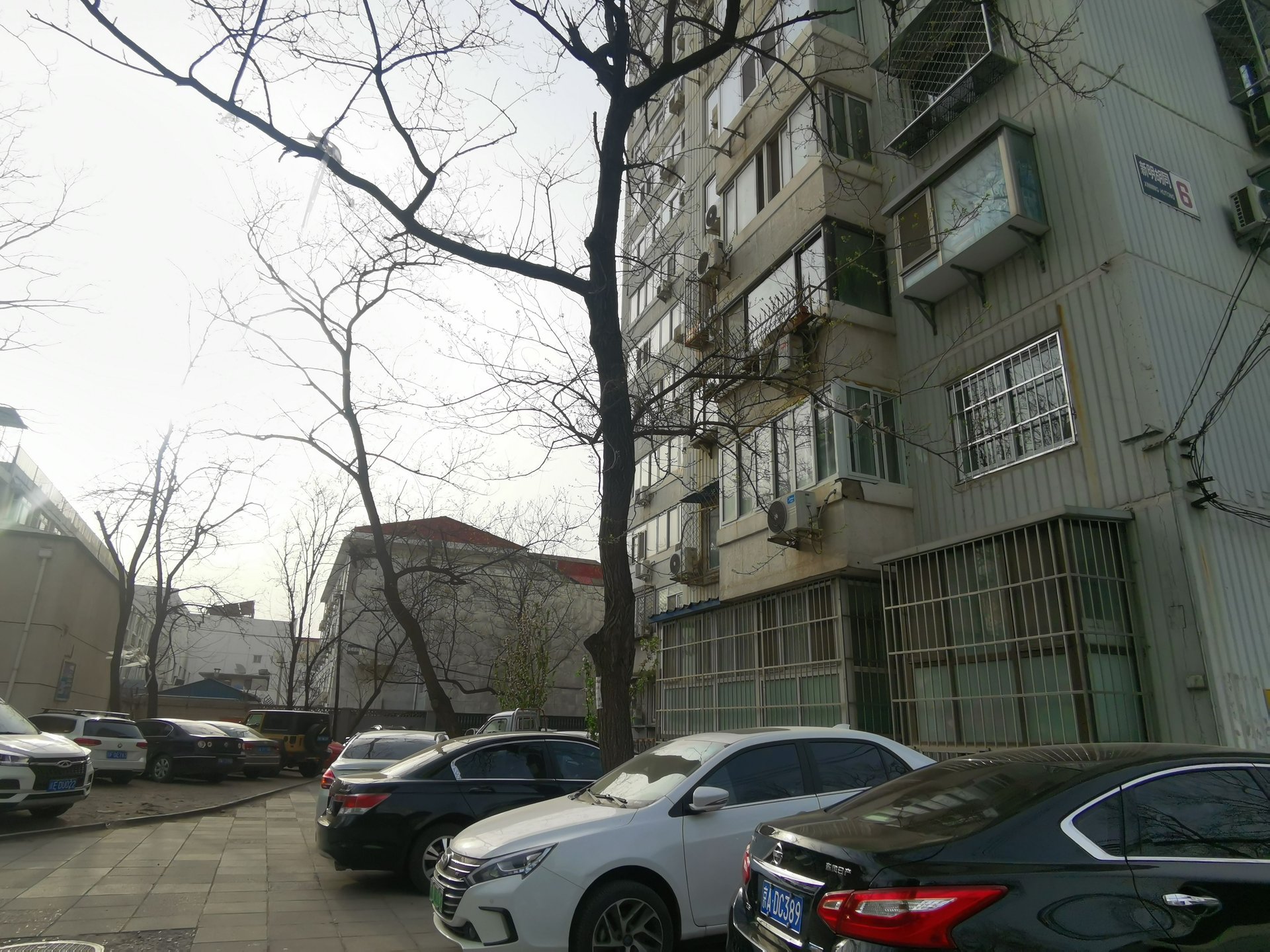 新明胡同 environment