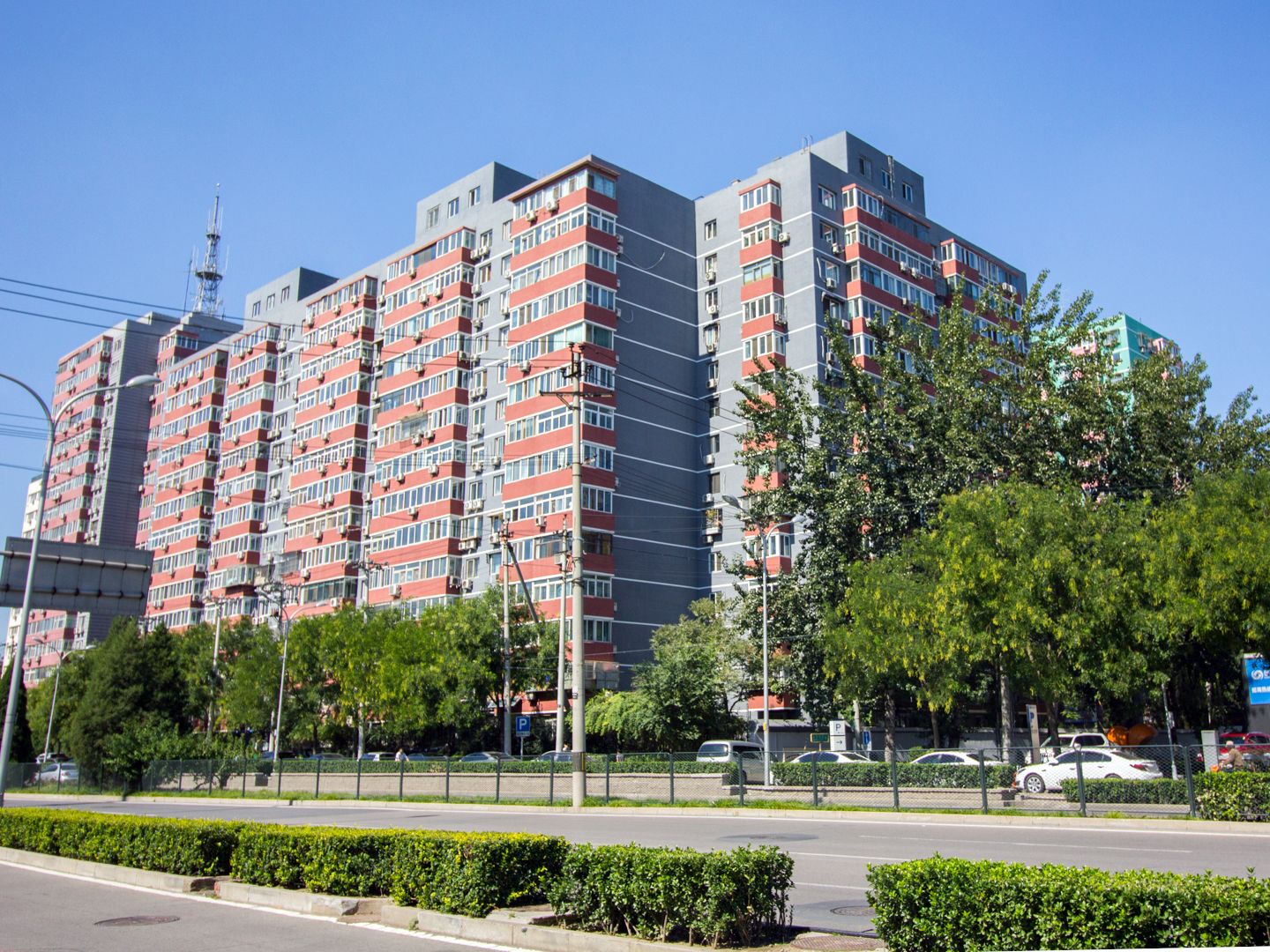 新明胡同 environment