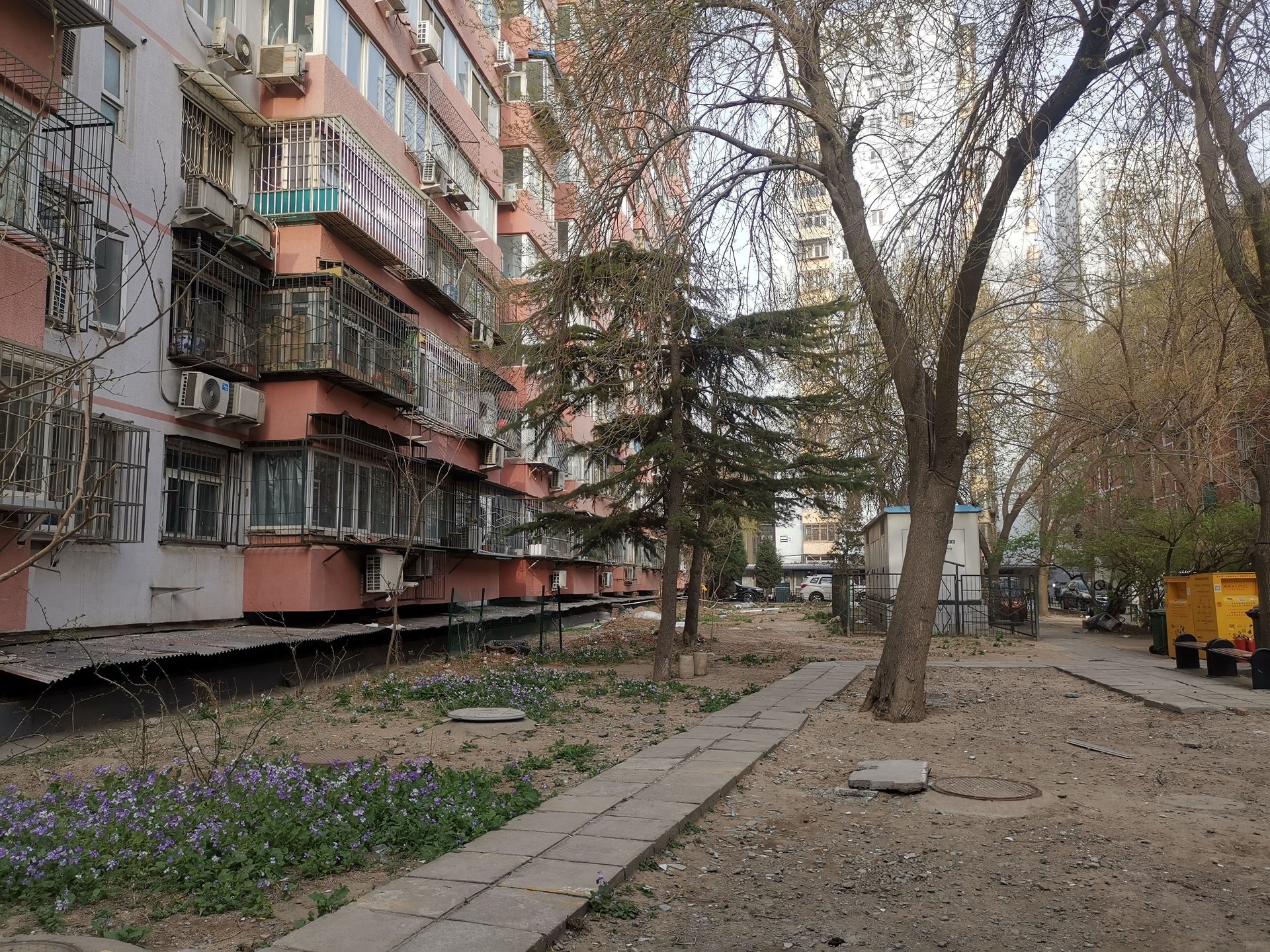 新明胡同 environment