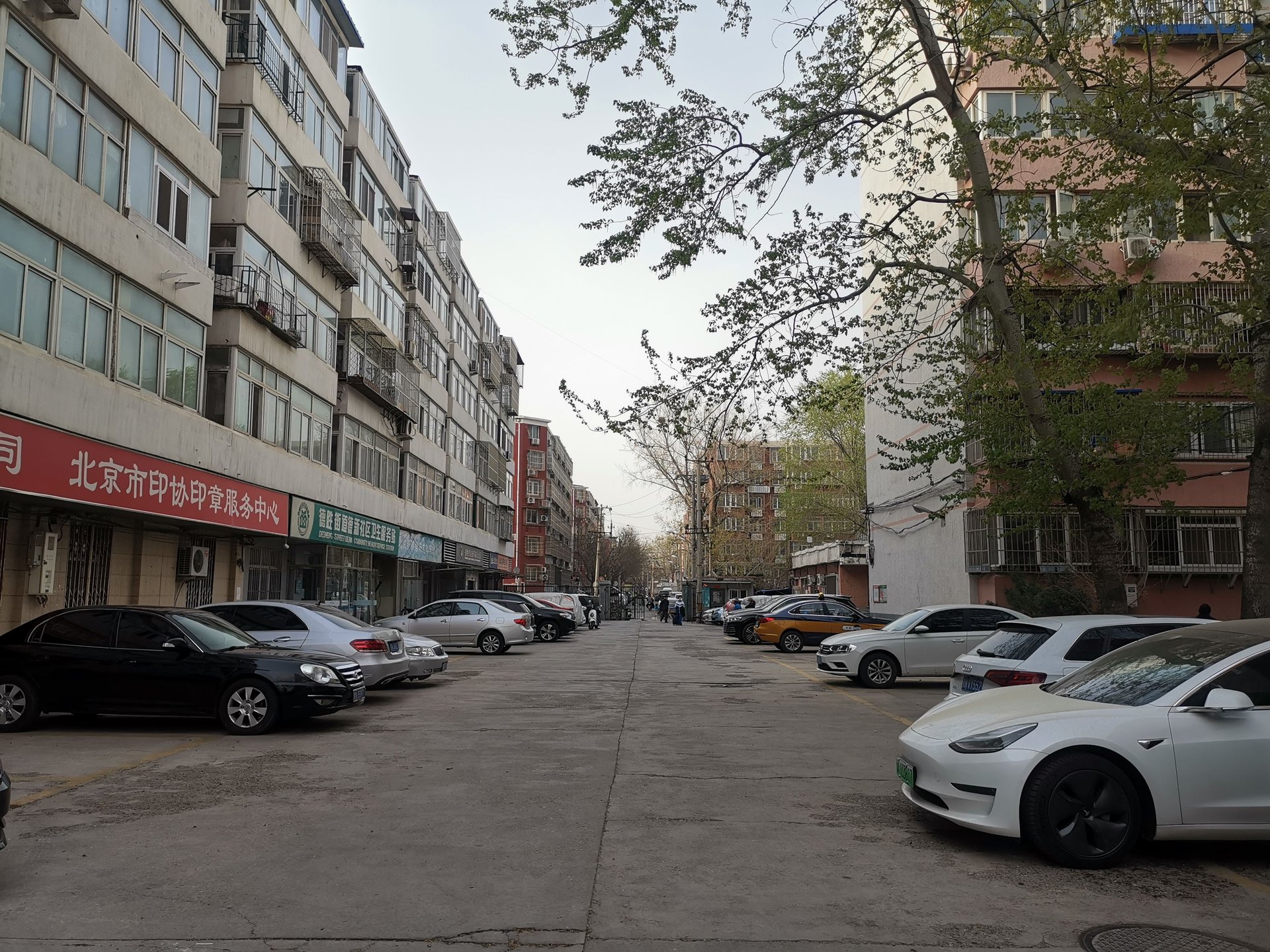 新明胡同 environment