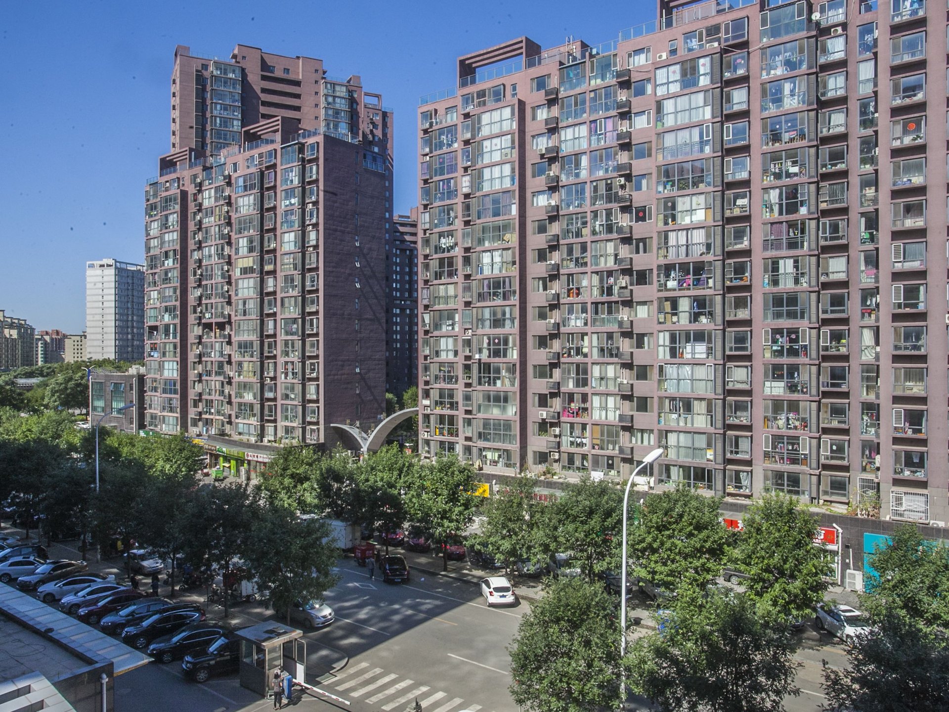 新通国际花园 environment