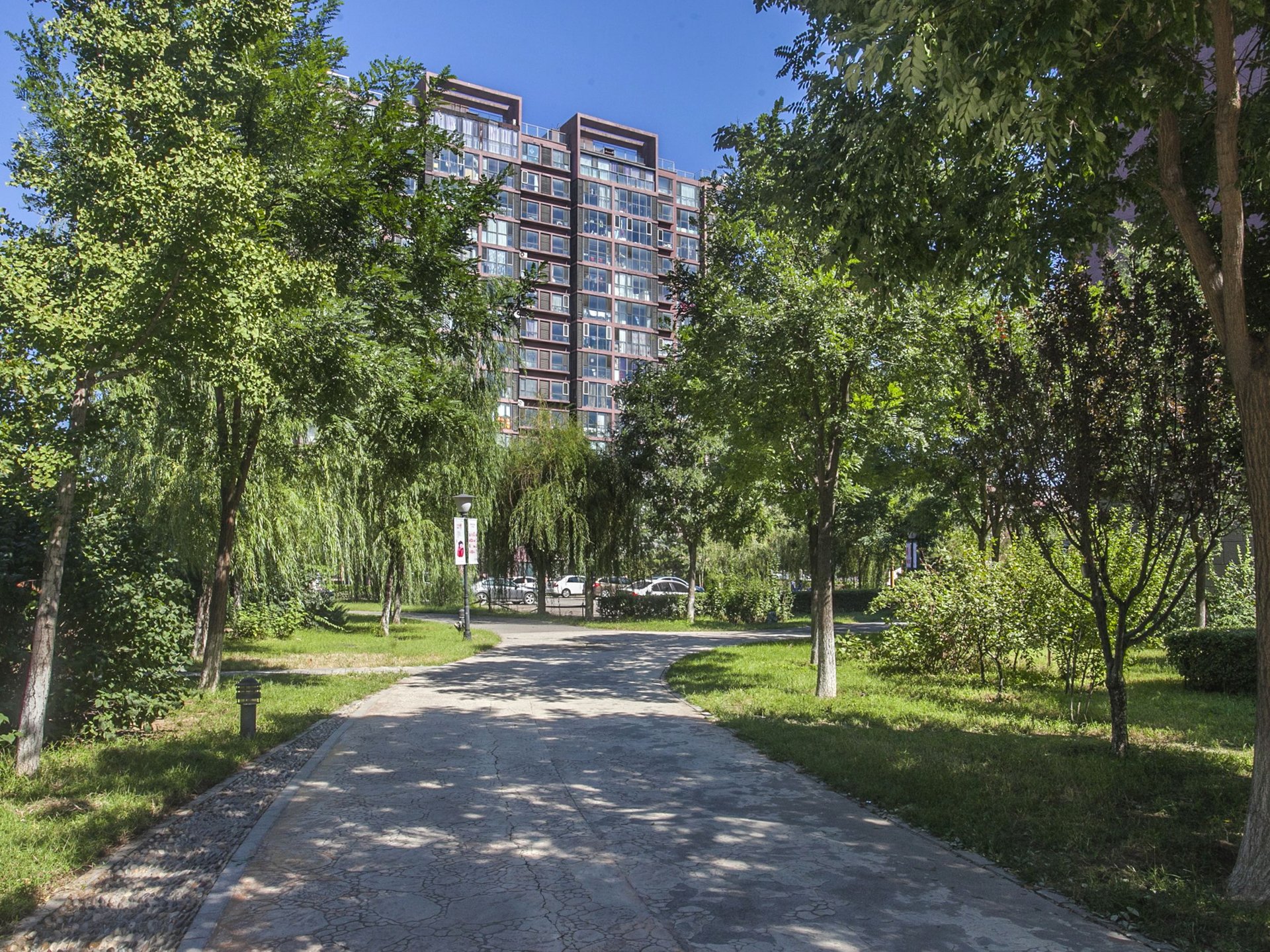 新通国际花园 environment