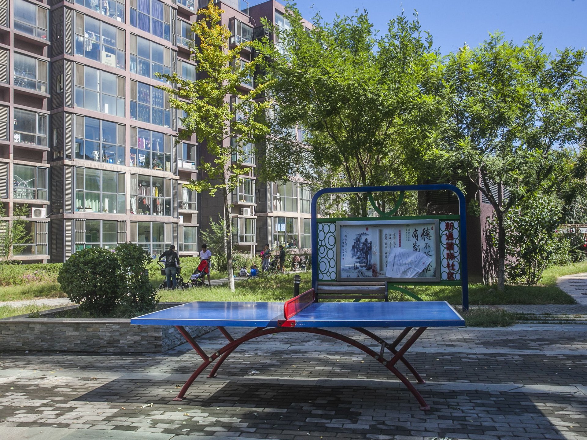 新通国际花园 environment