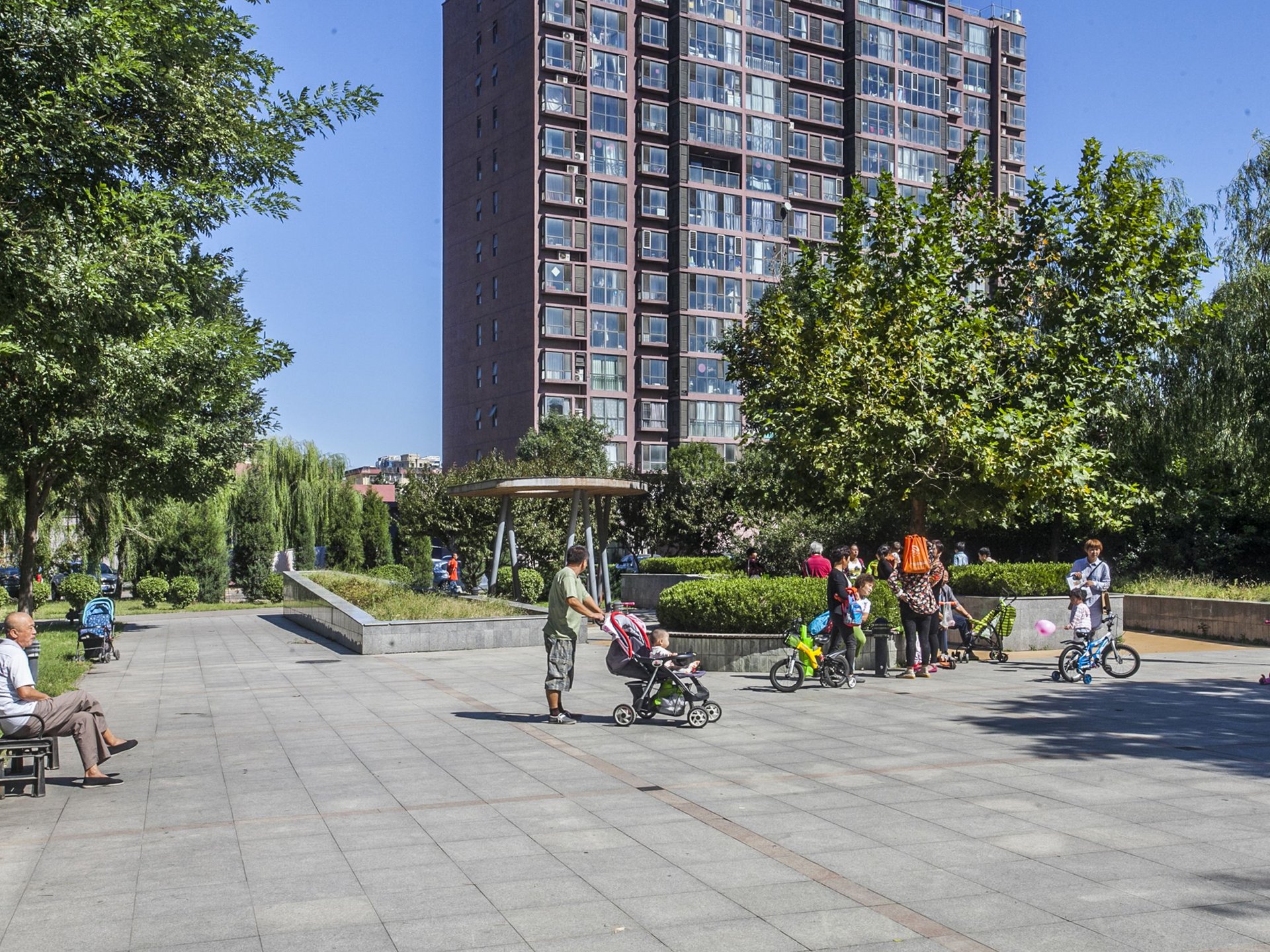 新通国际花园 environment