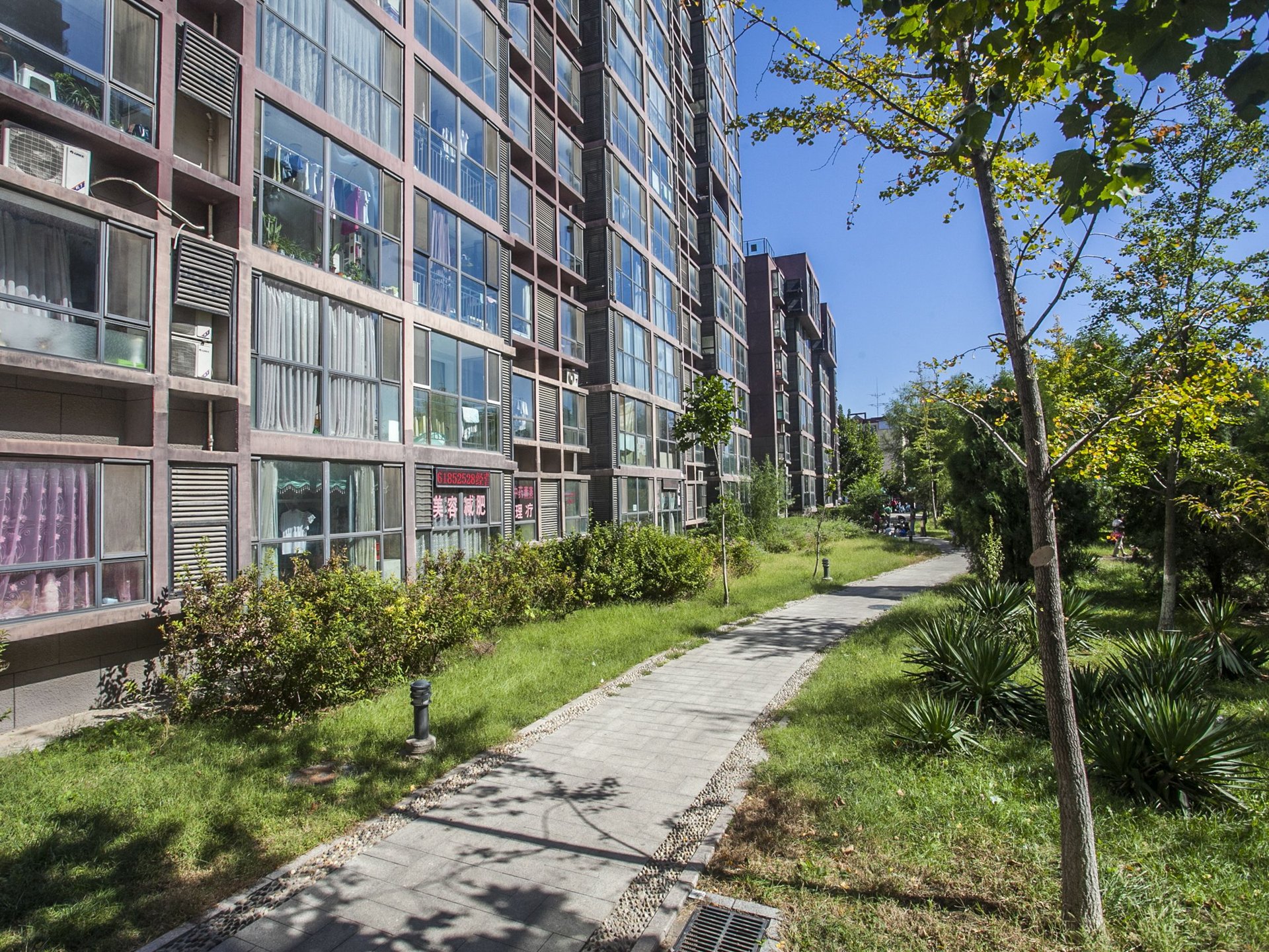 新通国际花园 environment