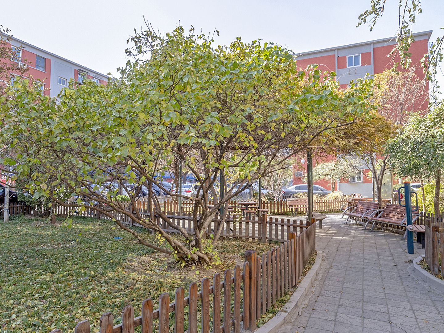 新外大街6号院 environment