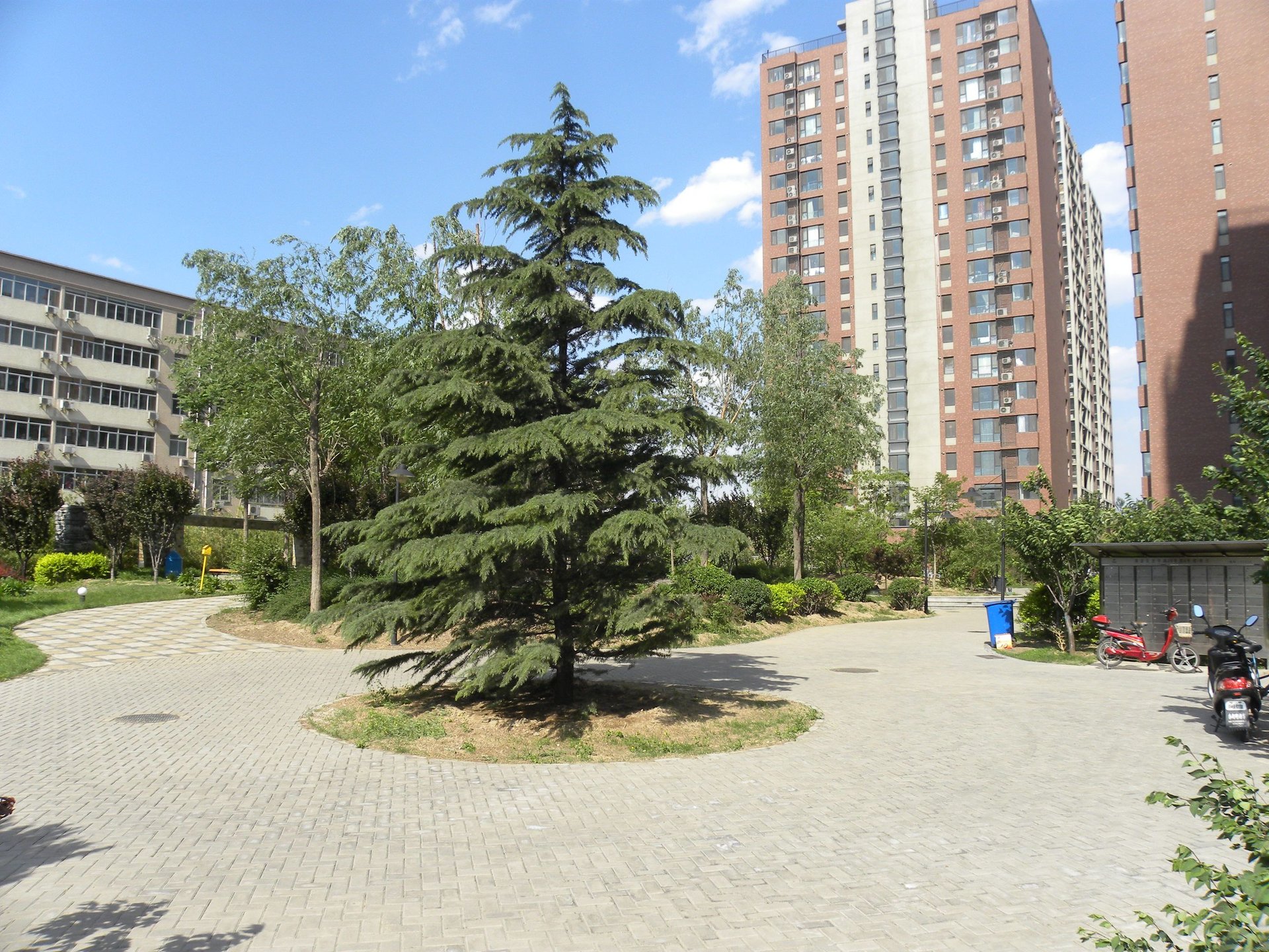 新兴年代 environment