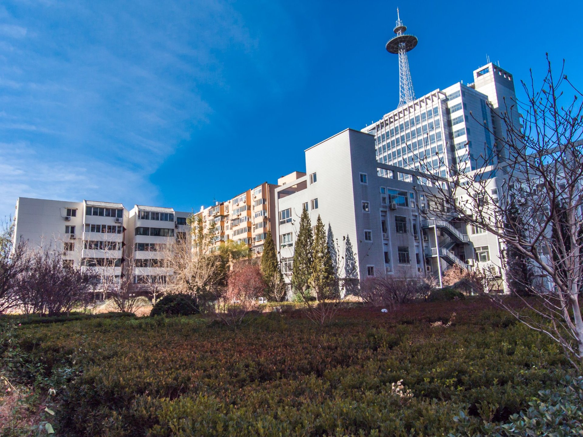 鑫雅苑 environment