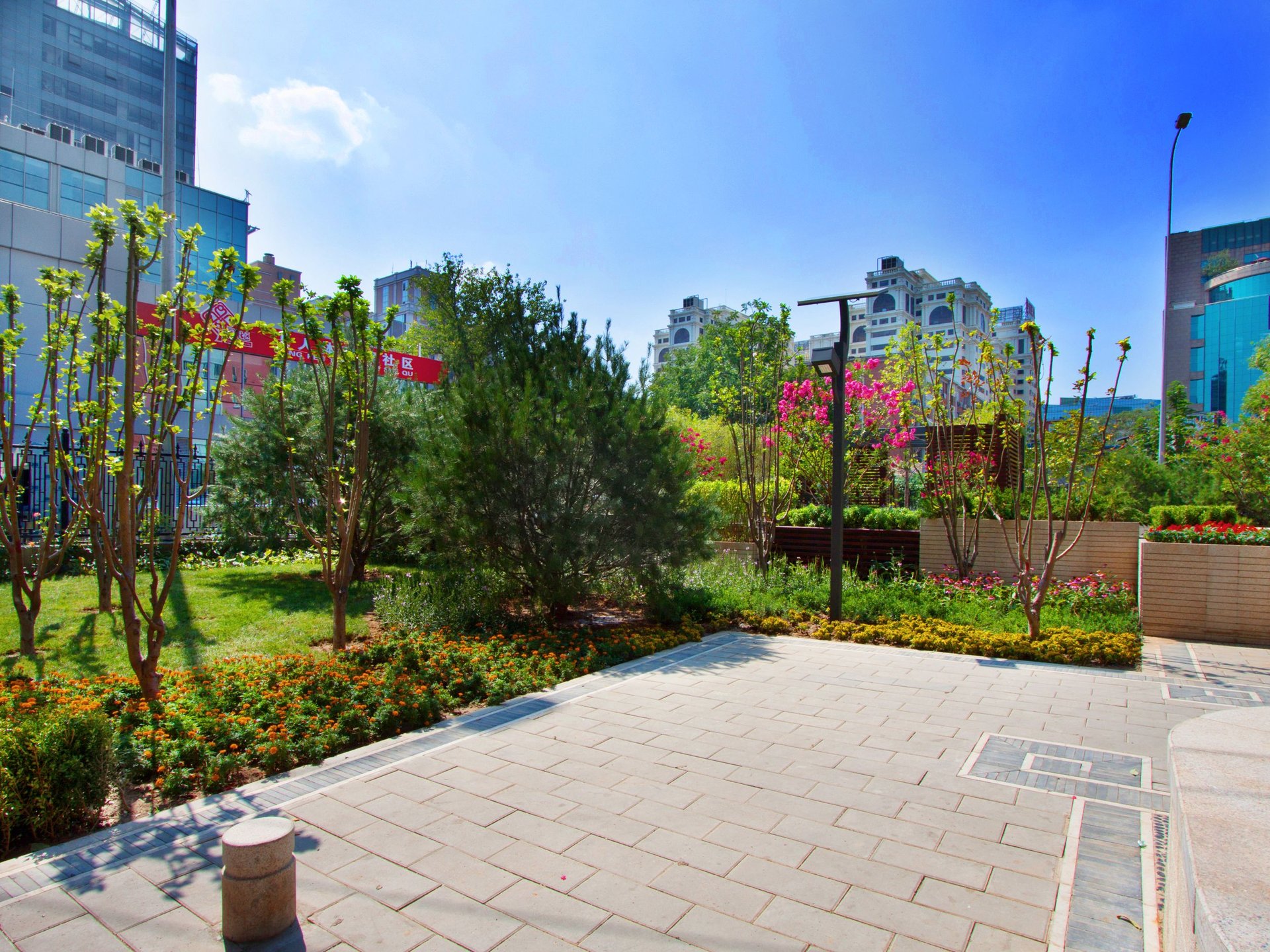 新中西街 environment