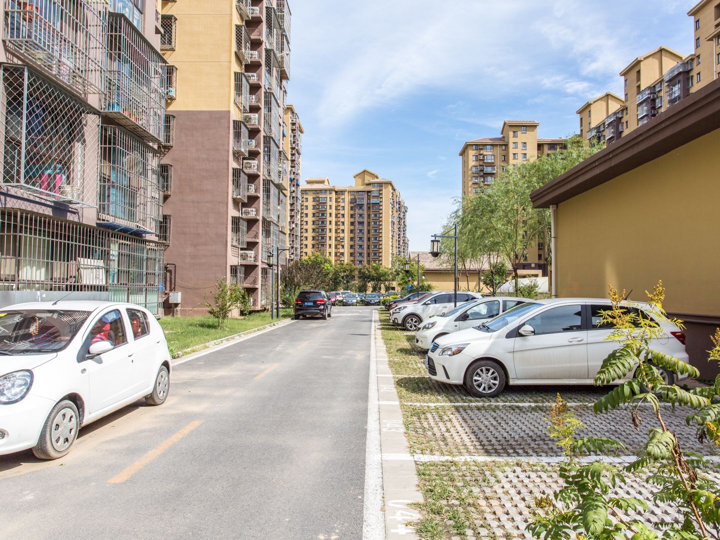 西山奥园 environment