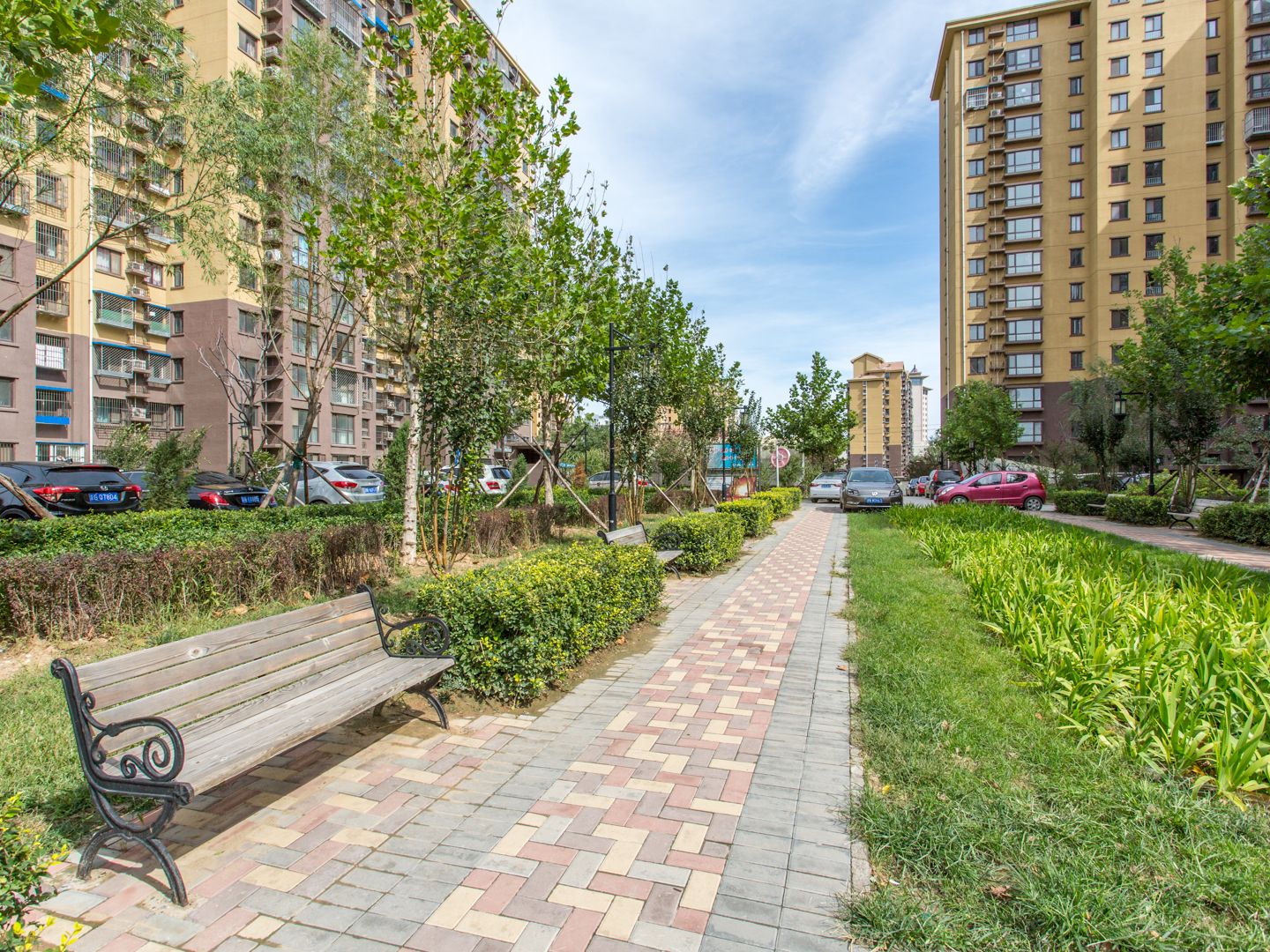 西山奥园 environment