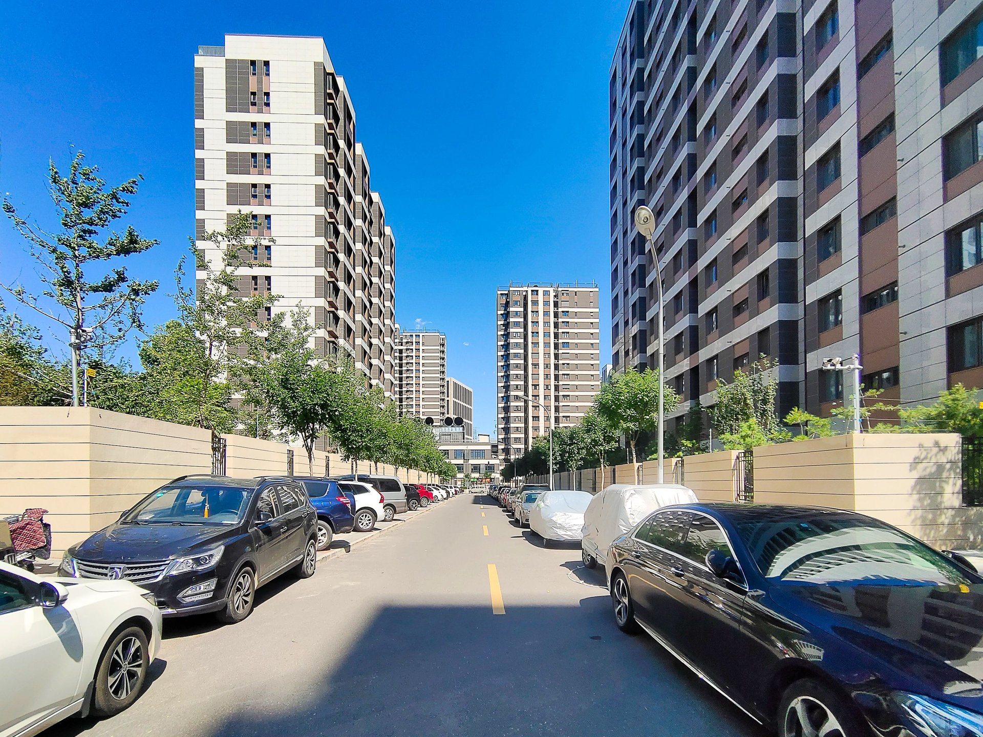 西山甲一号 environment