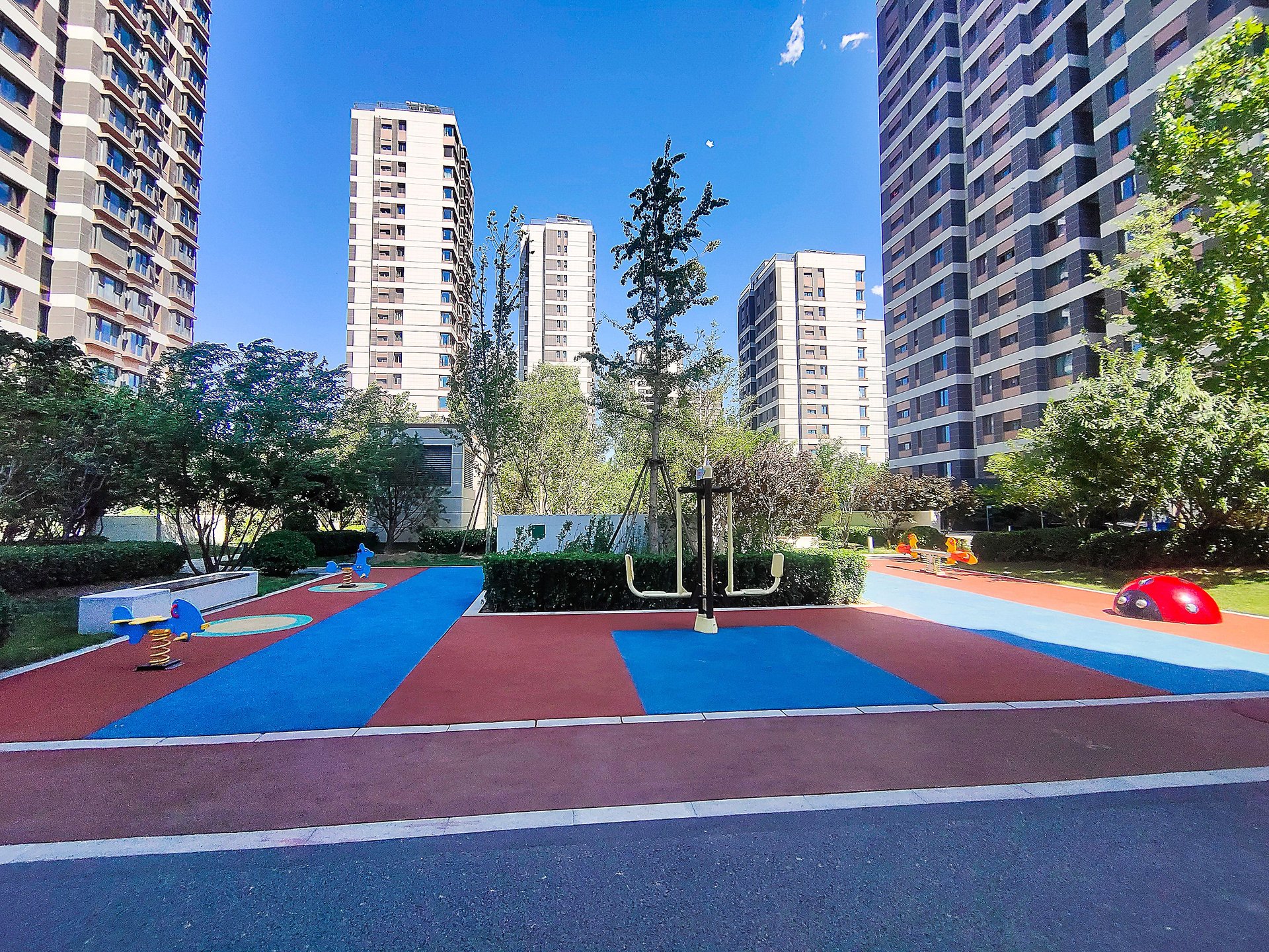 西山甲一号 environment