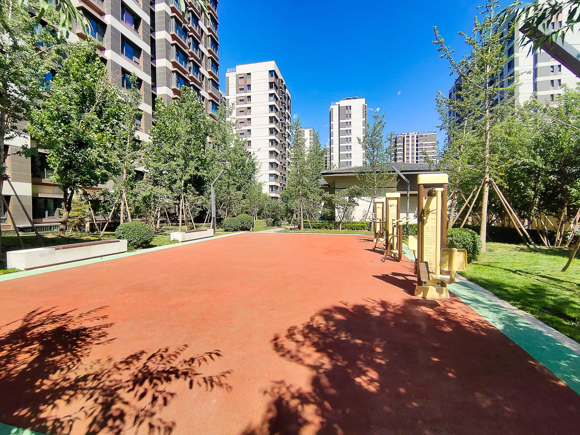 西山甲一号 environment