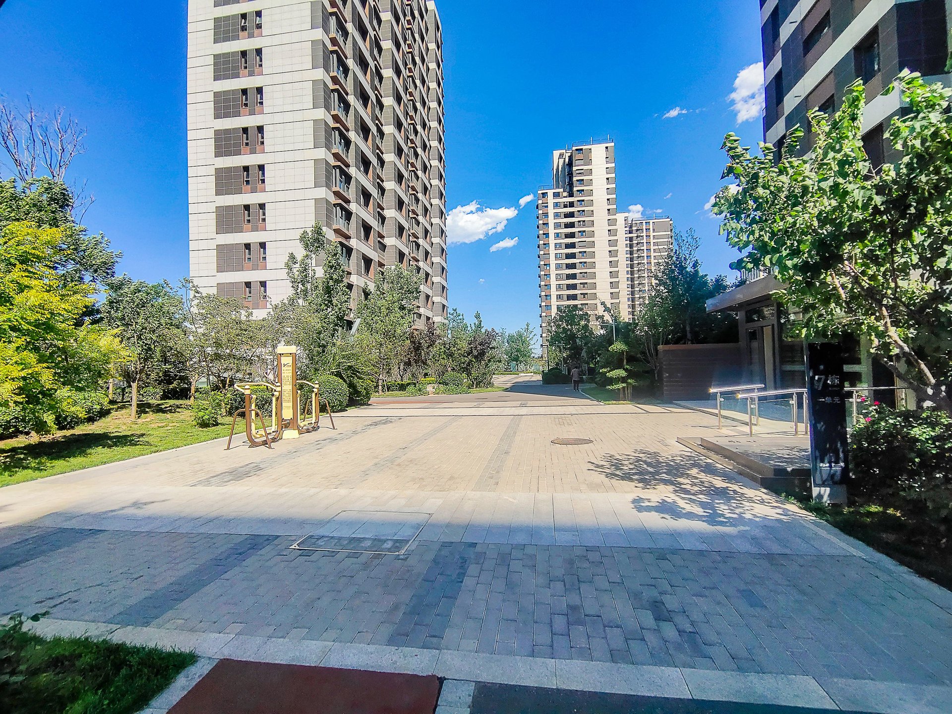 西山甲一号 environment