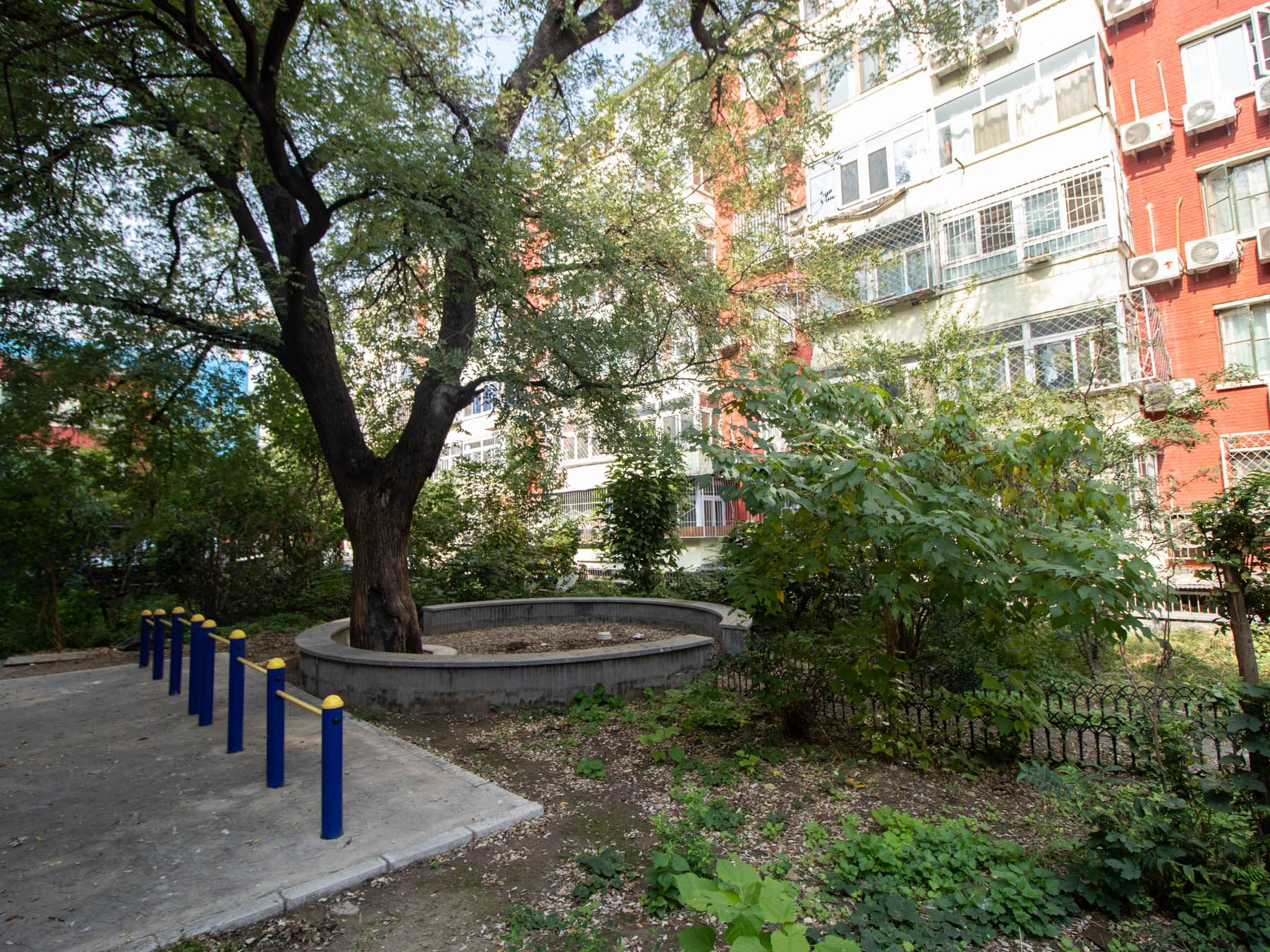 西总布胡同55号院 environment