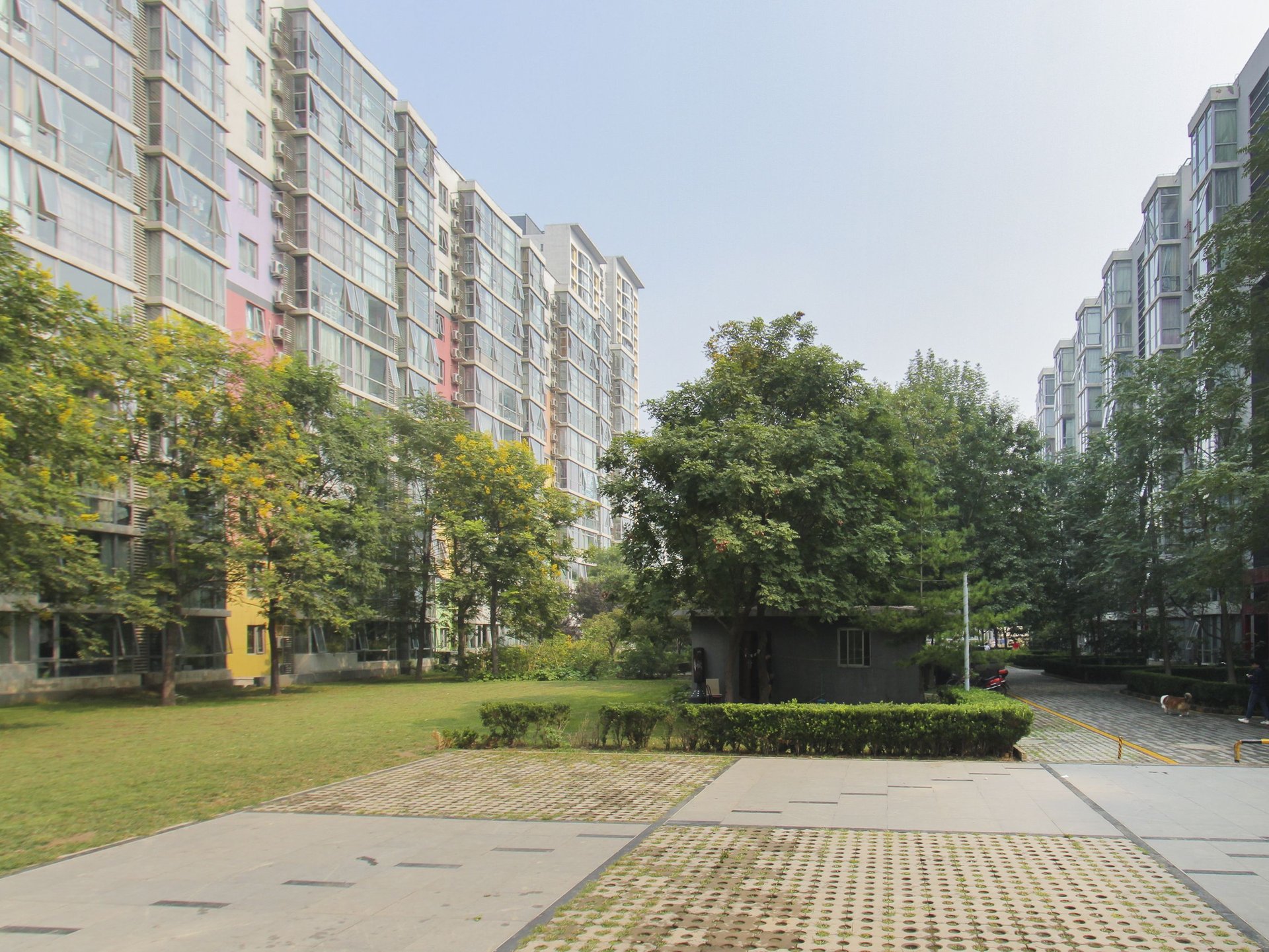 炫特嘉园三期 environment