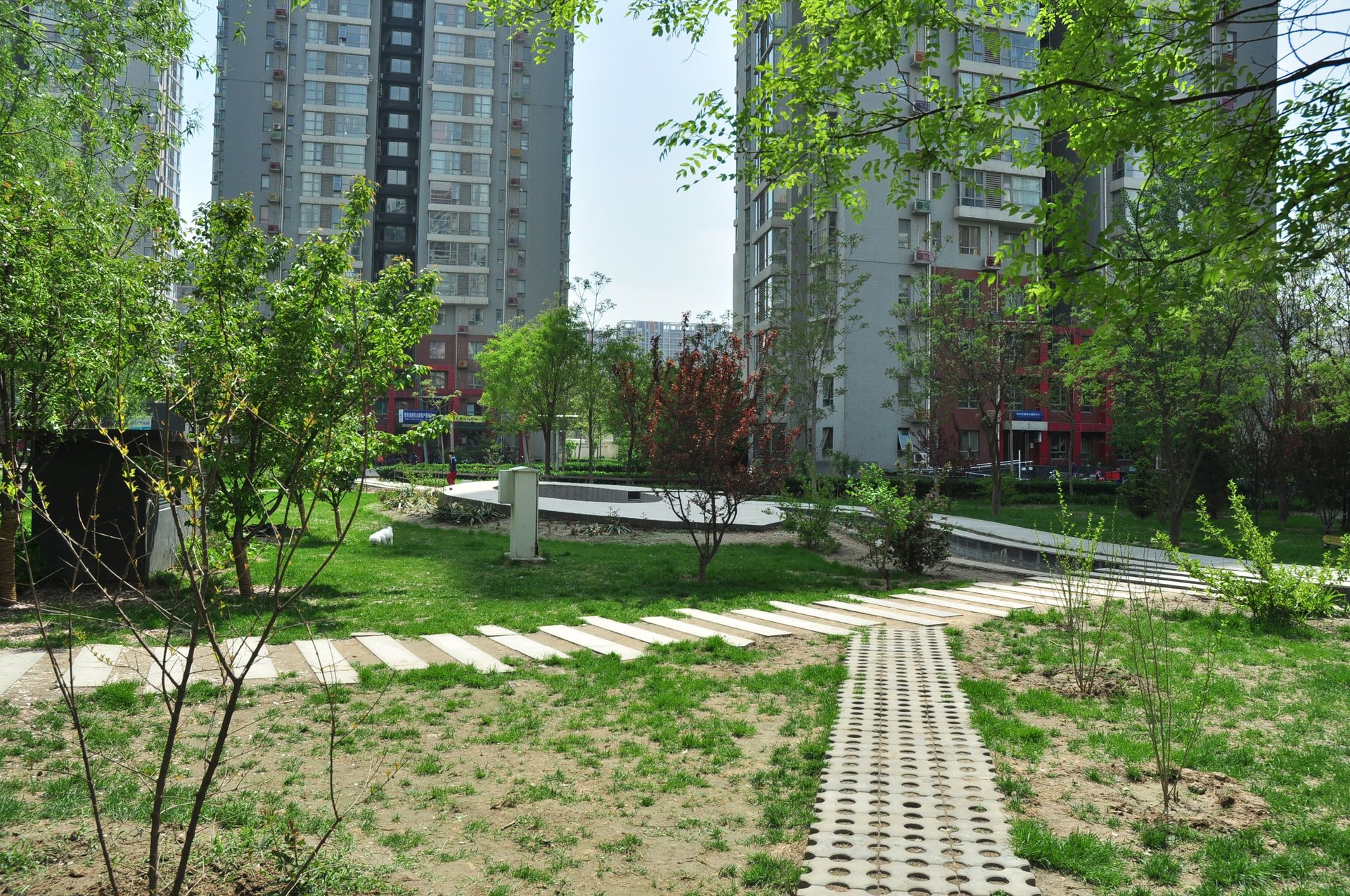 炫特嘉园一期 environment