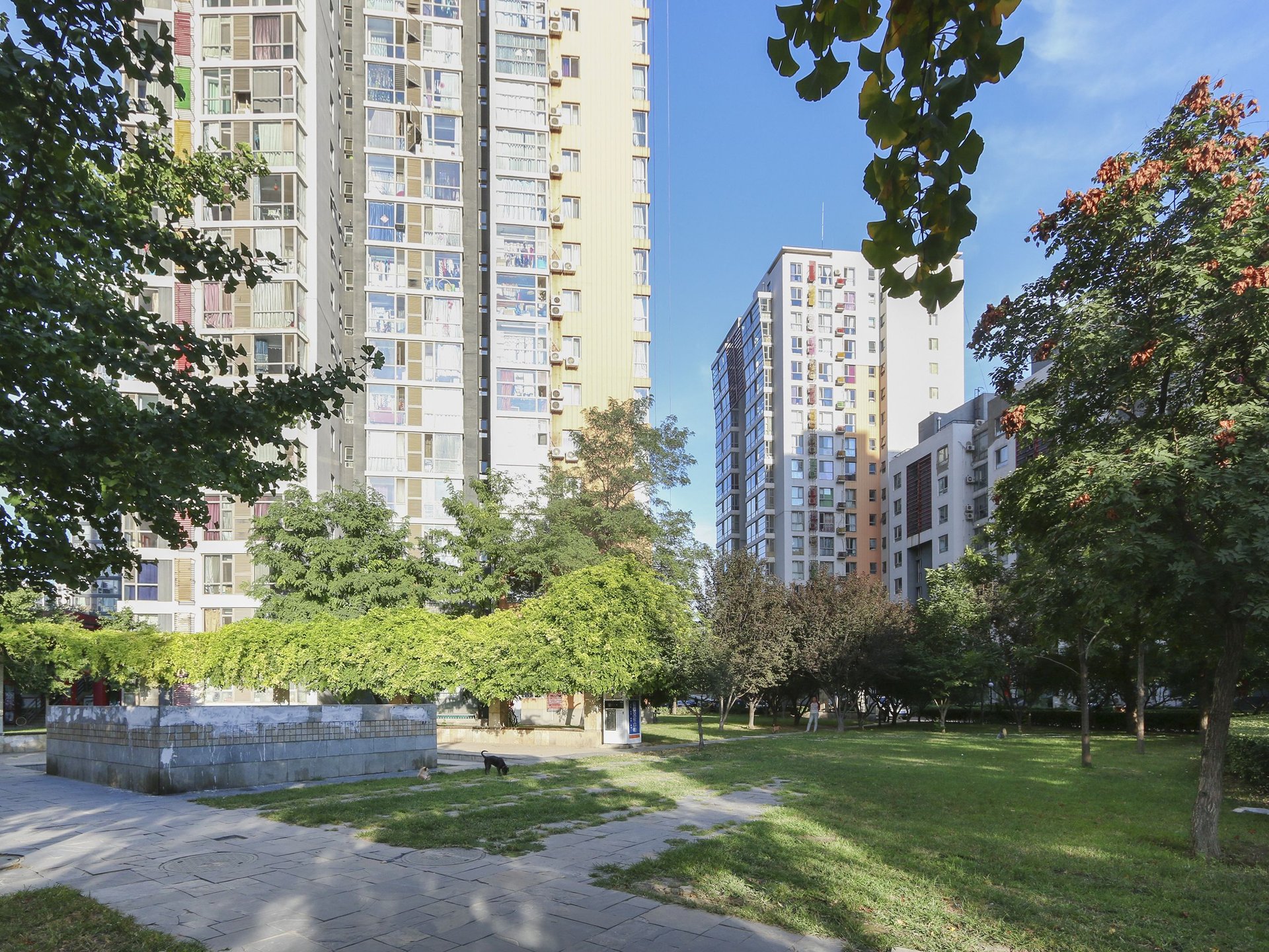 炫特嘉园一期 environment