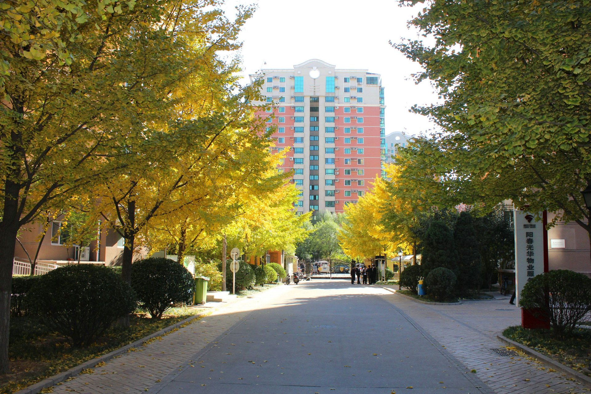 阳春光华家园 environment