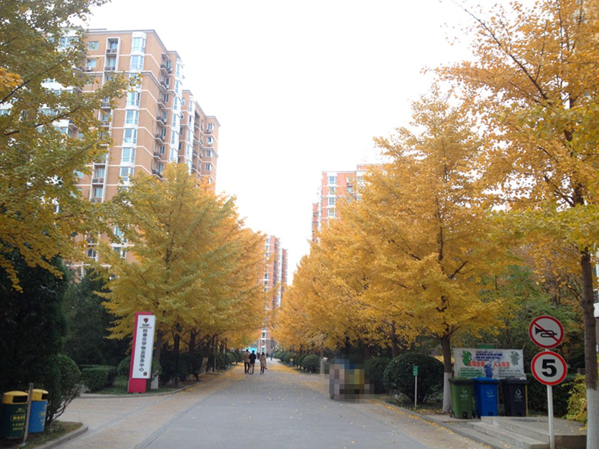 阳春光华家园 environment