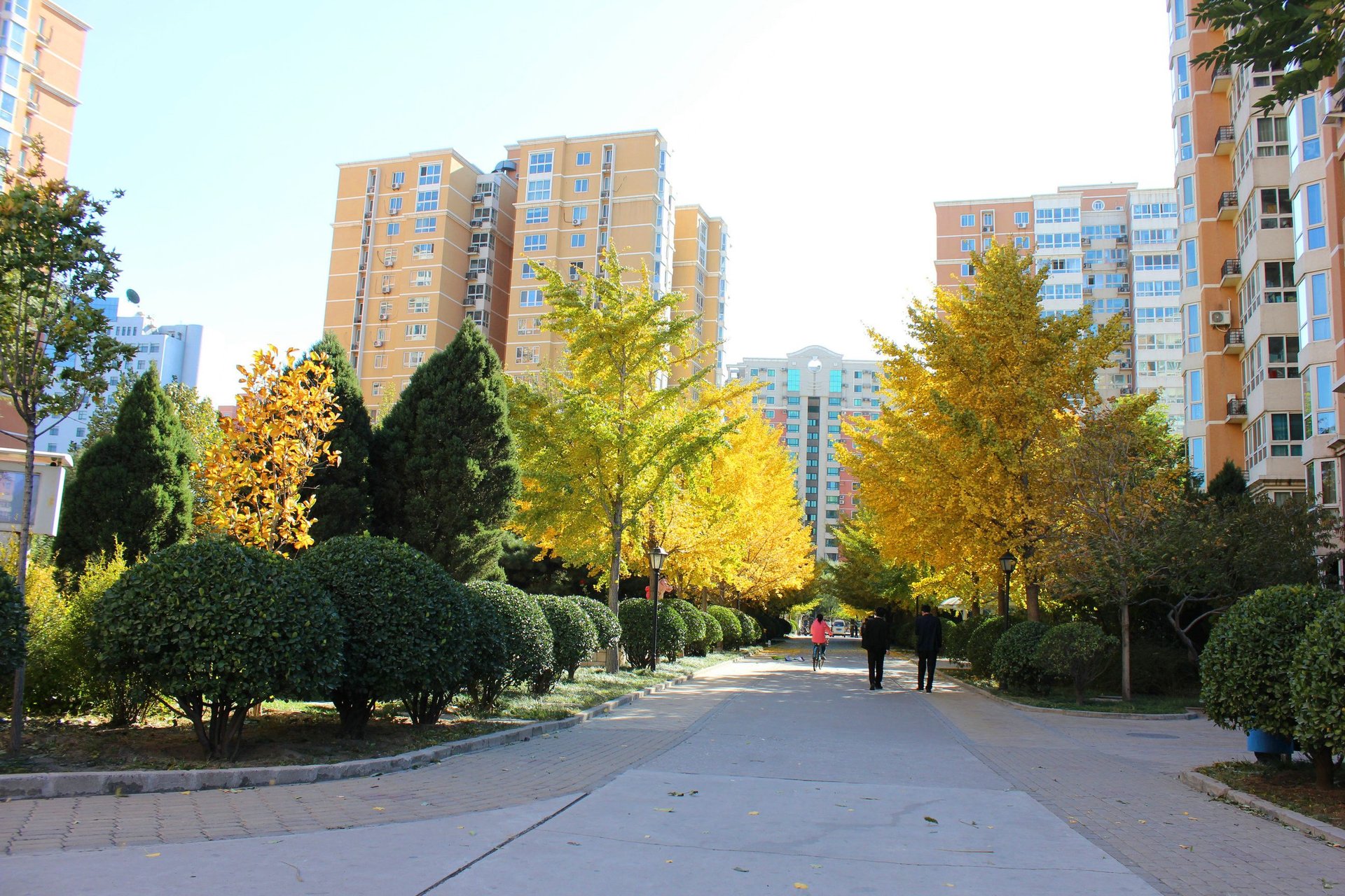 阳春光华家园 environment