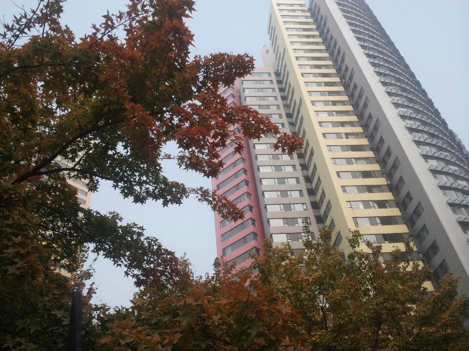 阳光100 environment