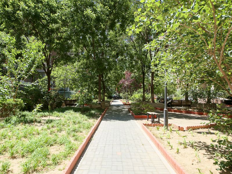 沿海赛洛城六期 environment