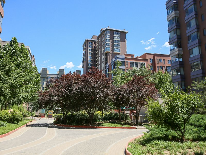 沿海赛洛城六期 environment