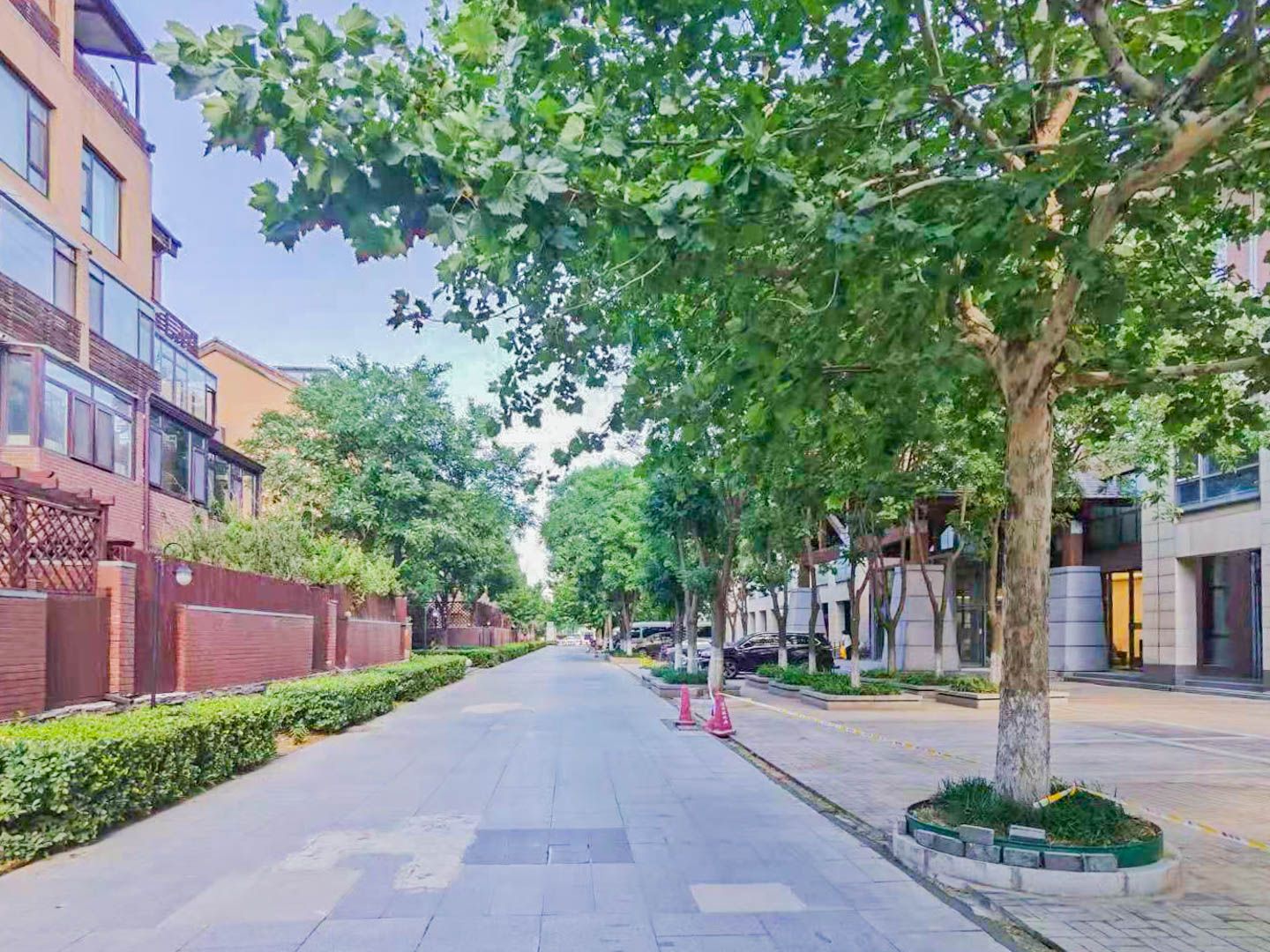 燕西台 environment